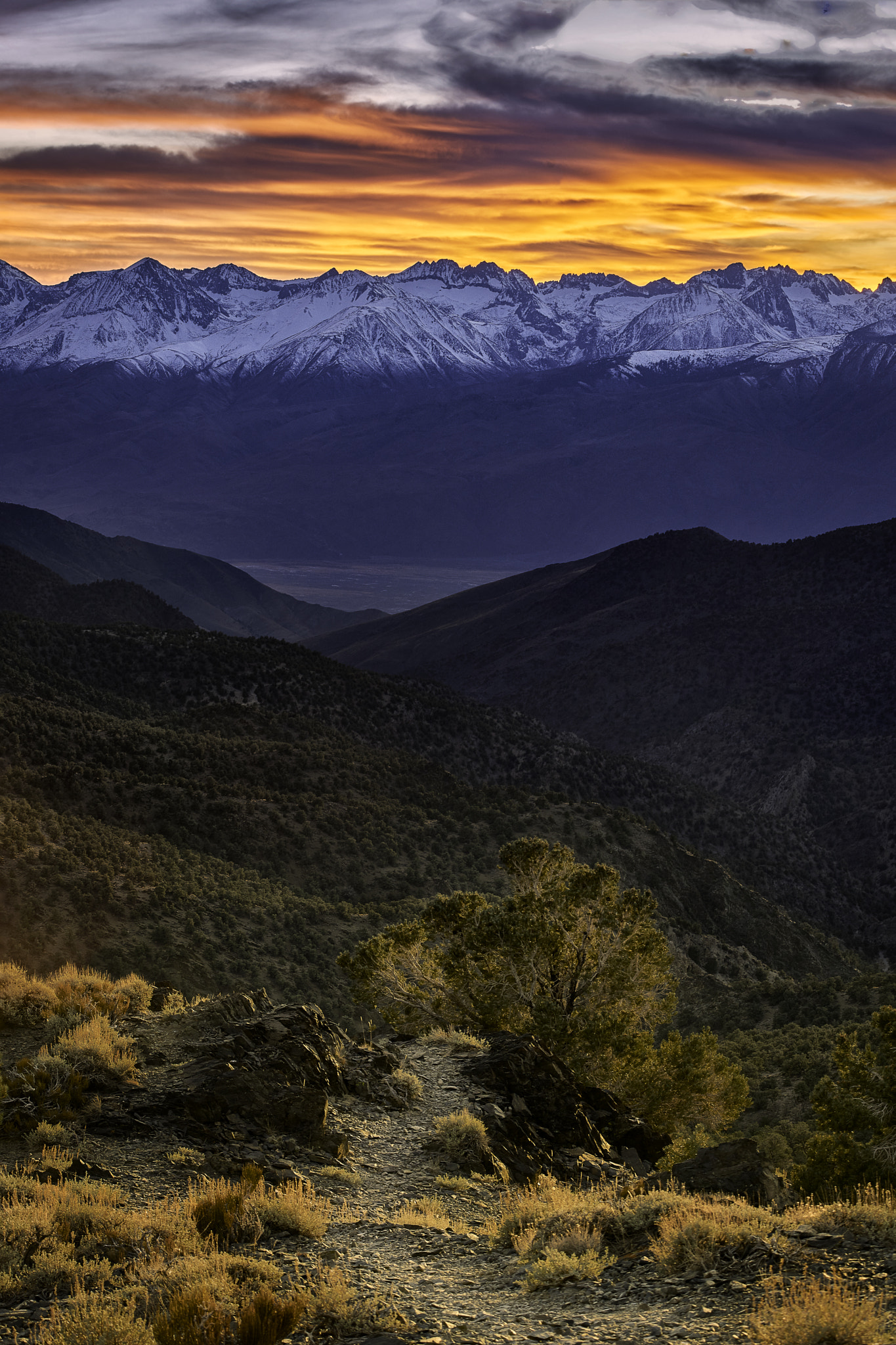 Sony a7 II sample photo. Path to eastern sierras photography