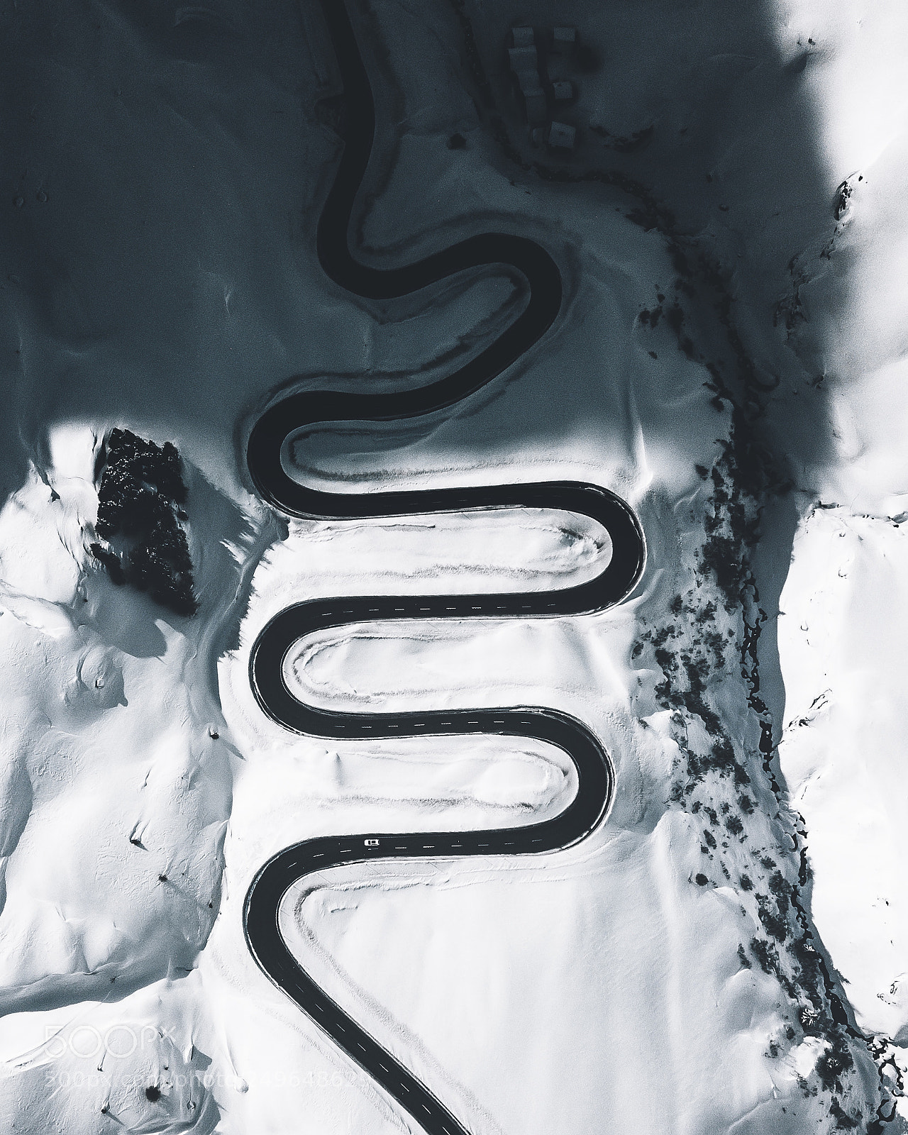 DJI FC220 sample photo. Snake ? photography