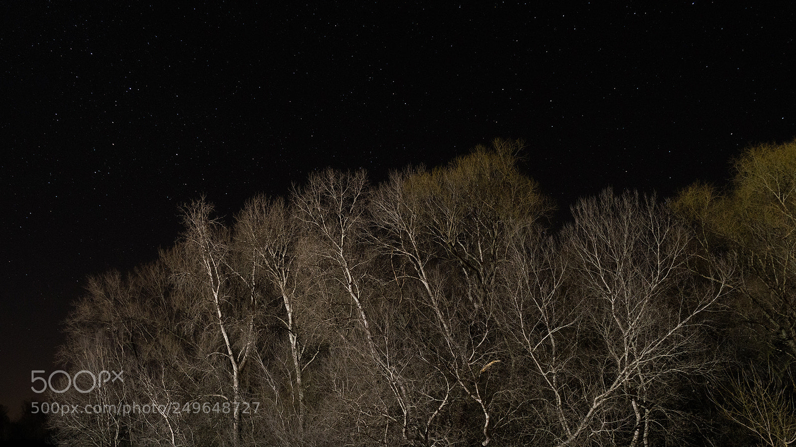 Nikon D3200 sample photo. Surreal photography