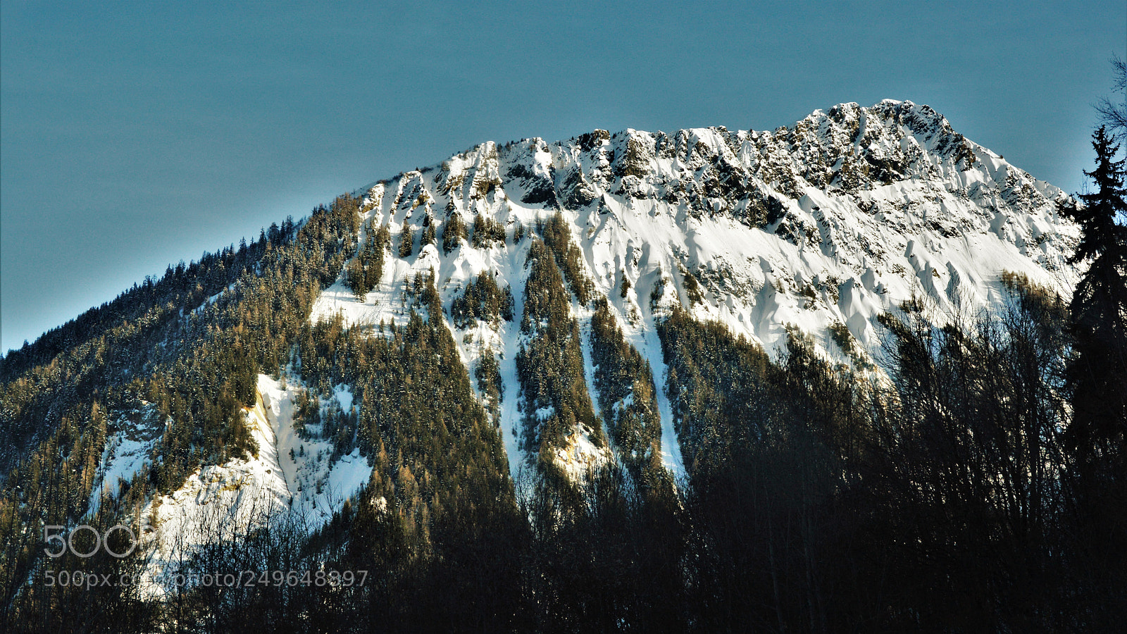 Nikon D3200 sample photo. Untitled photography