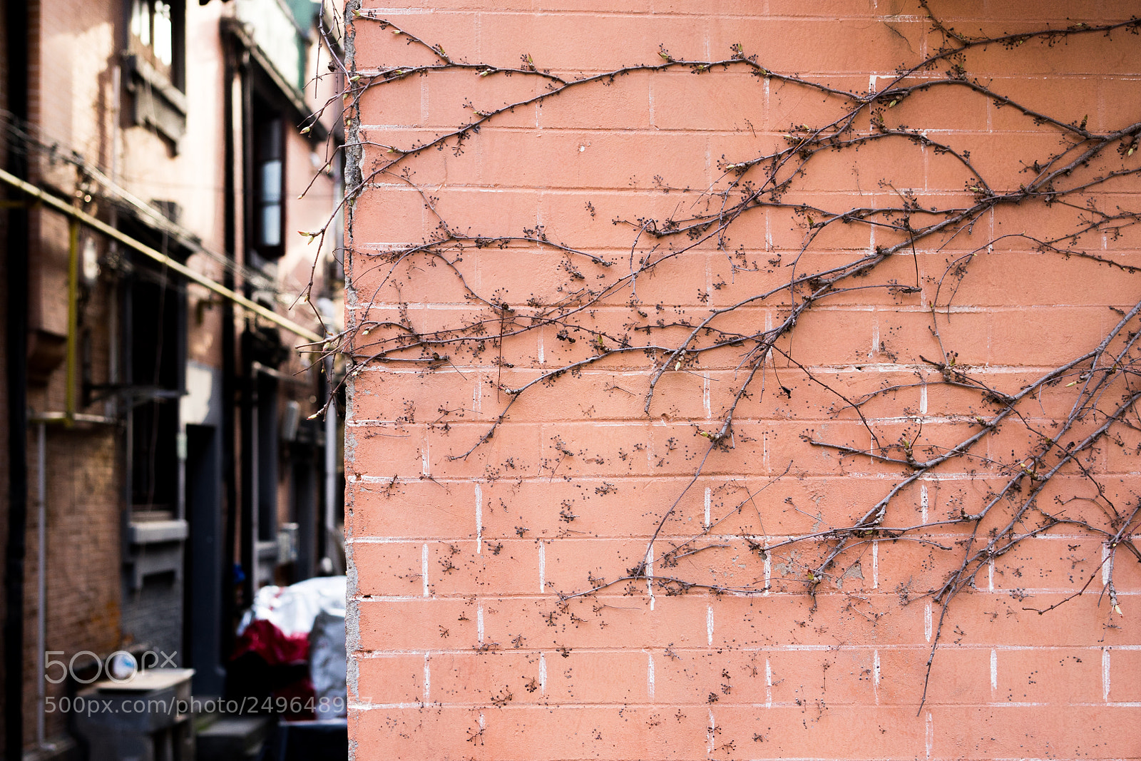Sony a7 sample photo. Untitled photography