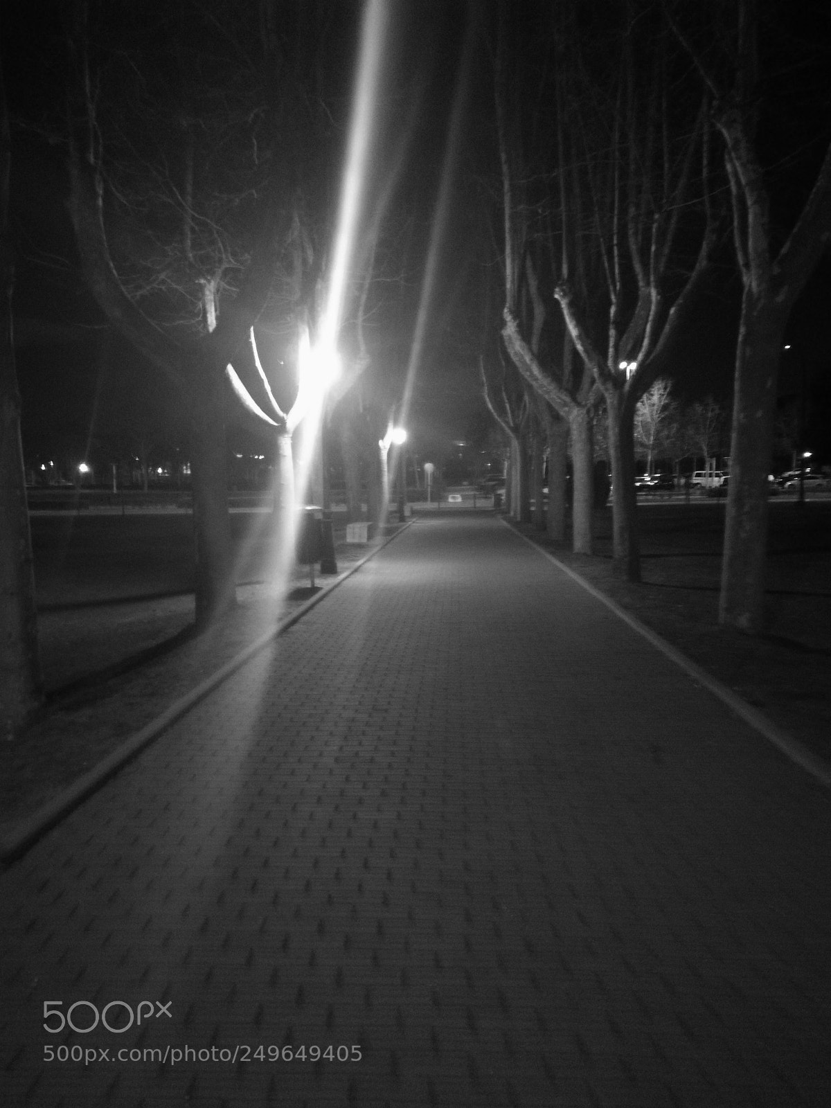 HUAWEI honor 6x sample photo. Untitled photography