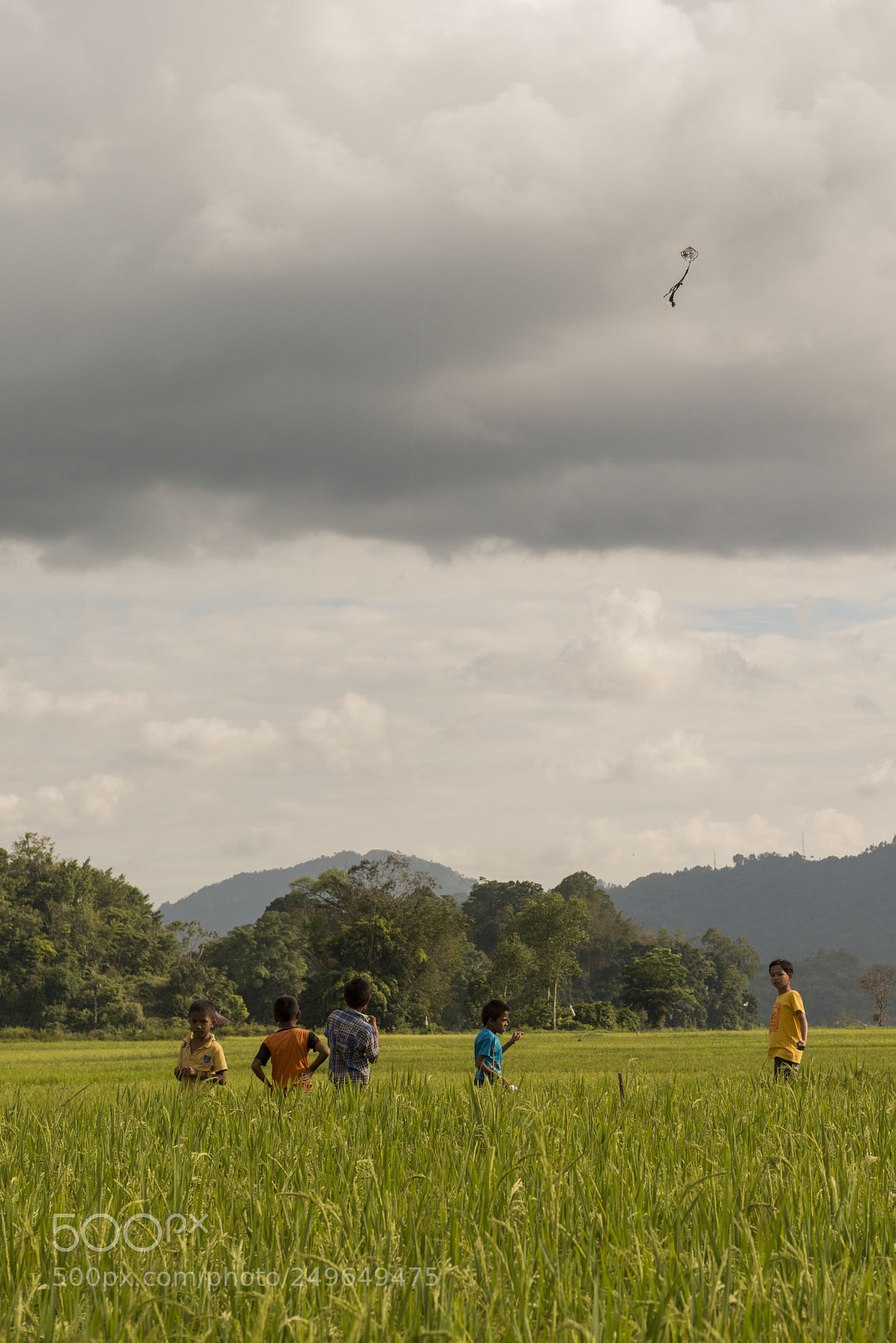 Nikon D800 sample photo. Children flying kite photography