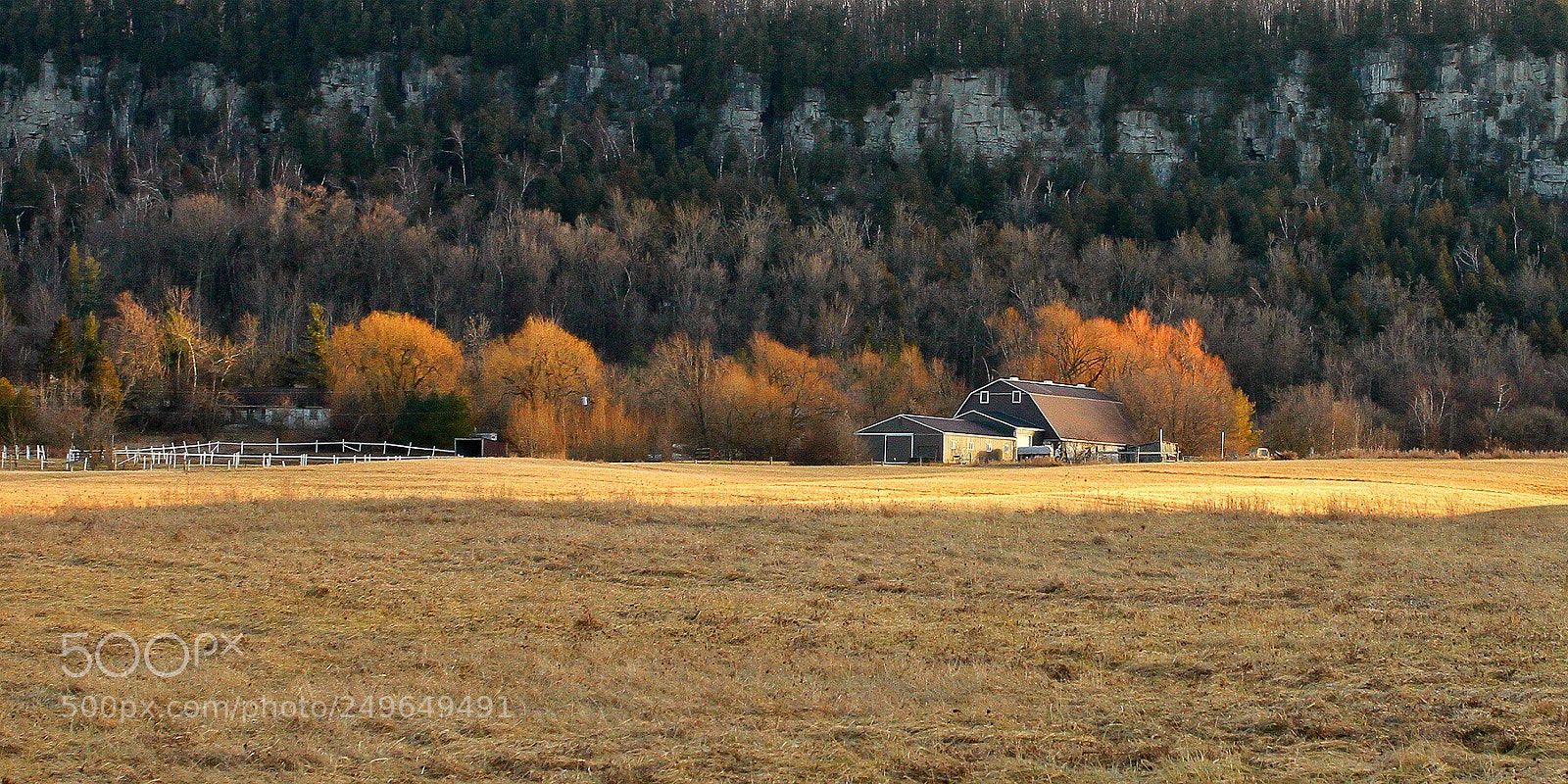Canon EOS 7D sample photo. Early spring photography