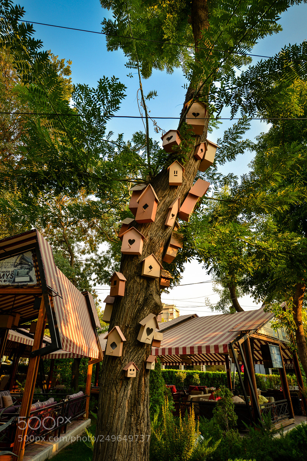 Nikon D800E sample photo. Home, sweet home... photography