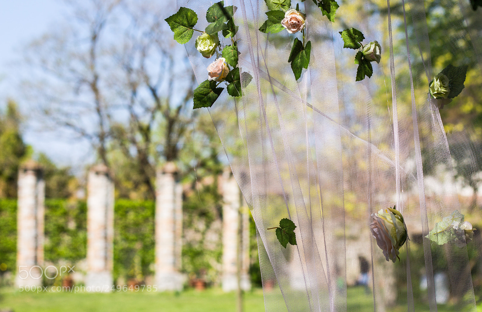 Canon EOS 700D (EOS Rebel T5i / EOS Kiss X7i) sample photo. Sipario sulla storia photography