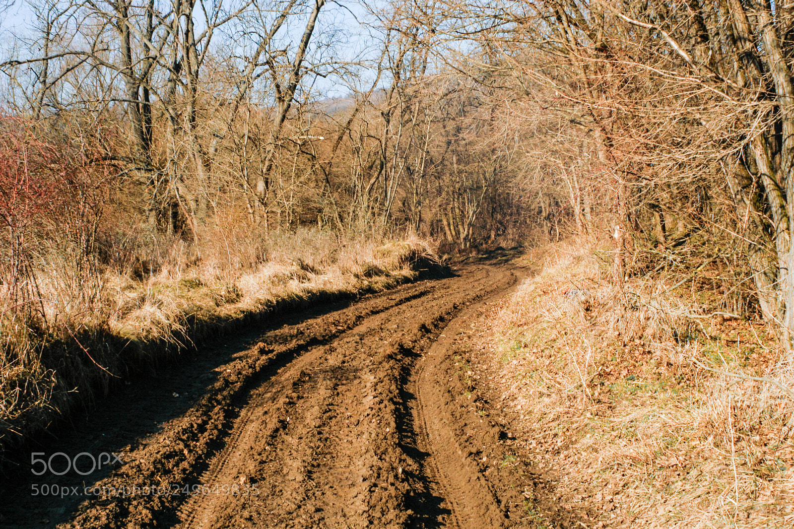 Canon EOS 30D sample photo. Untitled photography
