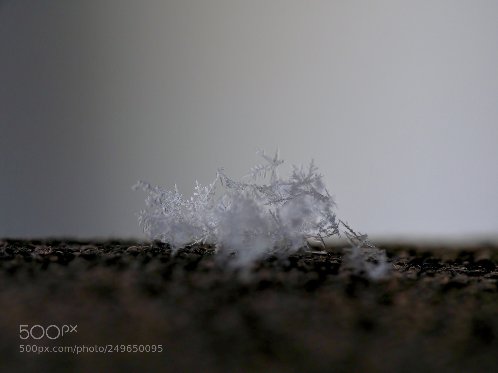 Panasonic Lumix DMC-GX85 (Lumix DMC-GX80 / Lumix DMC-GX7 Mark II) sample photo. Some snow photography