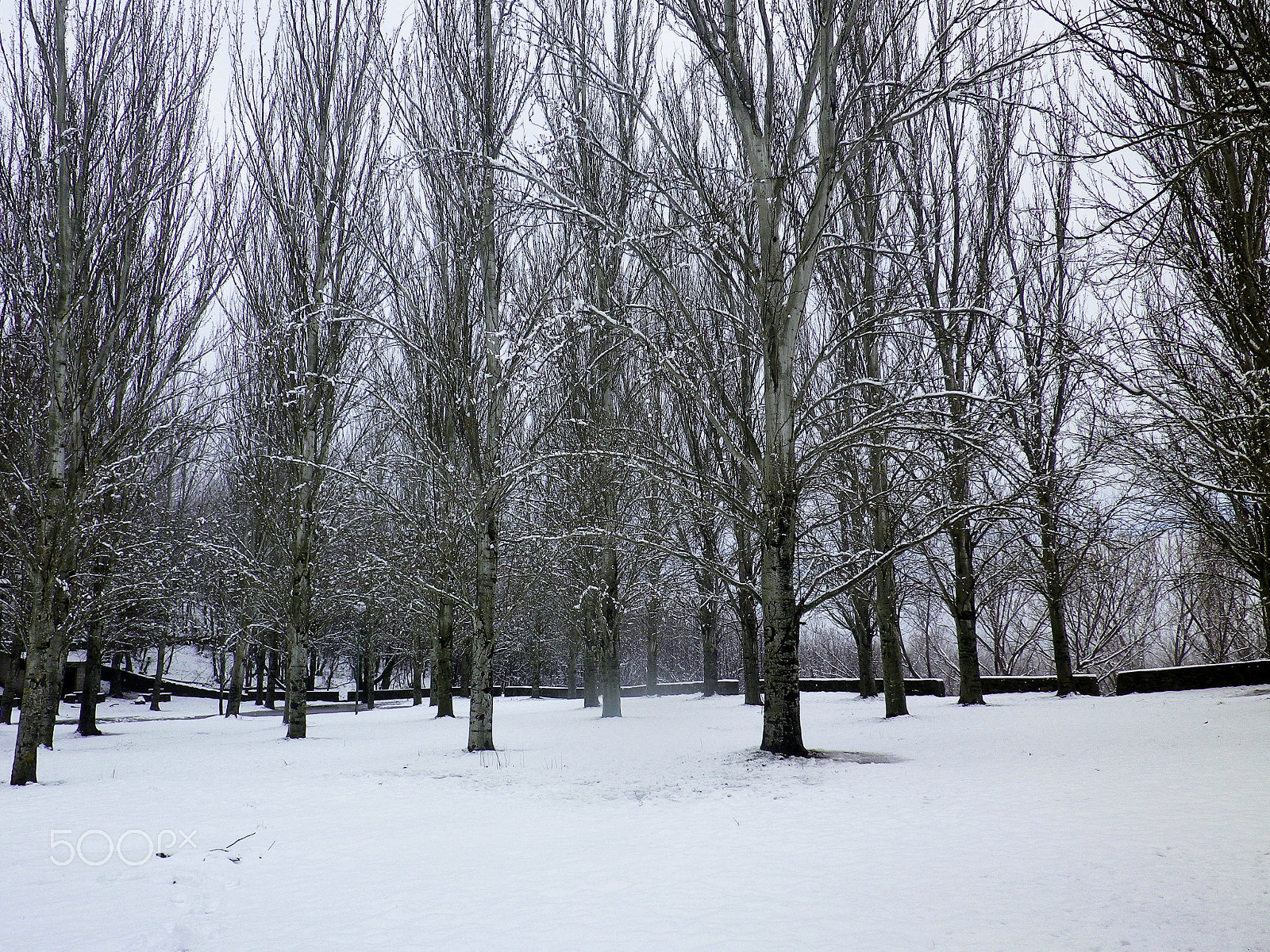 Pentax Optio RZ10 sample photo. Nieve en marzo - snow in march photography