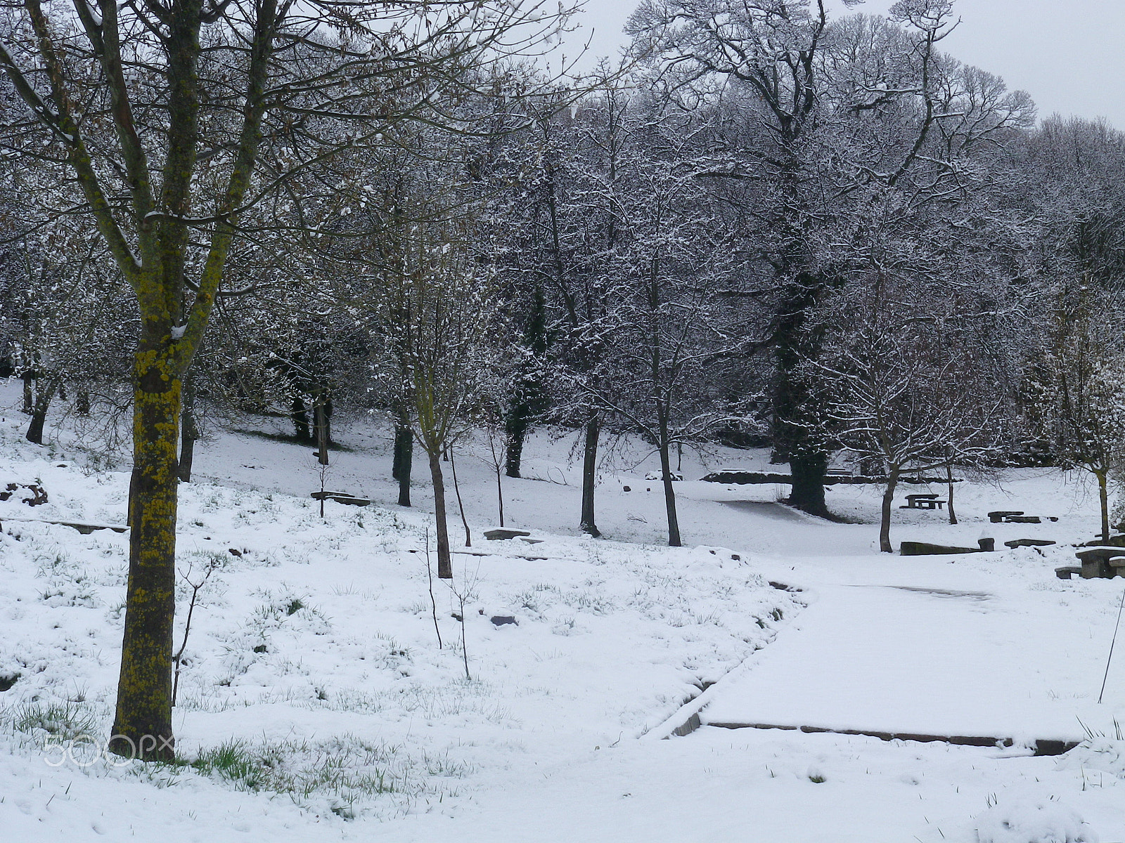 Pentax Optio RZ10 sample photo. Marzo invernal - winter march photography