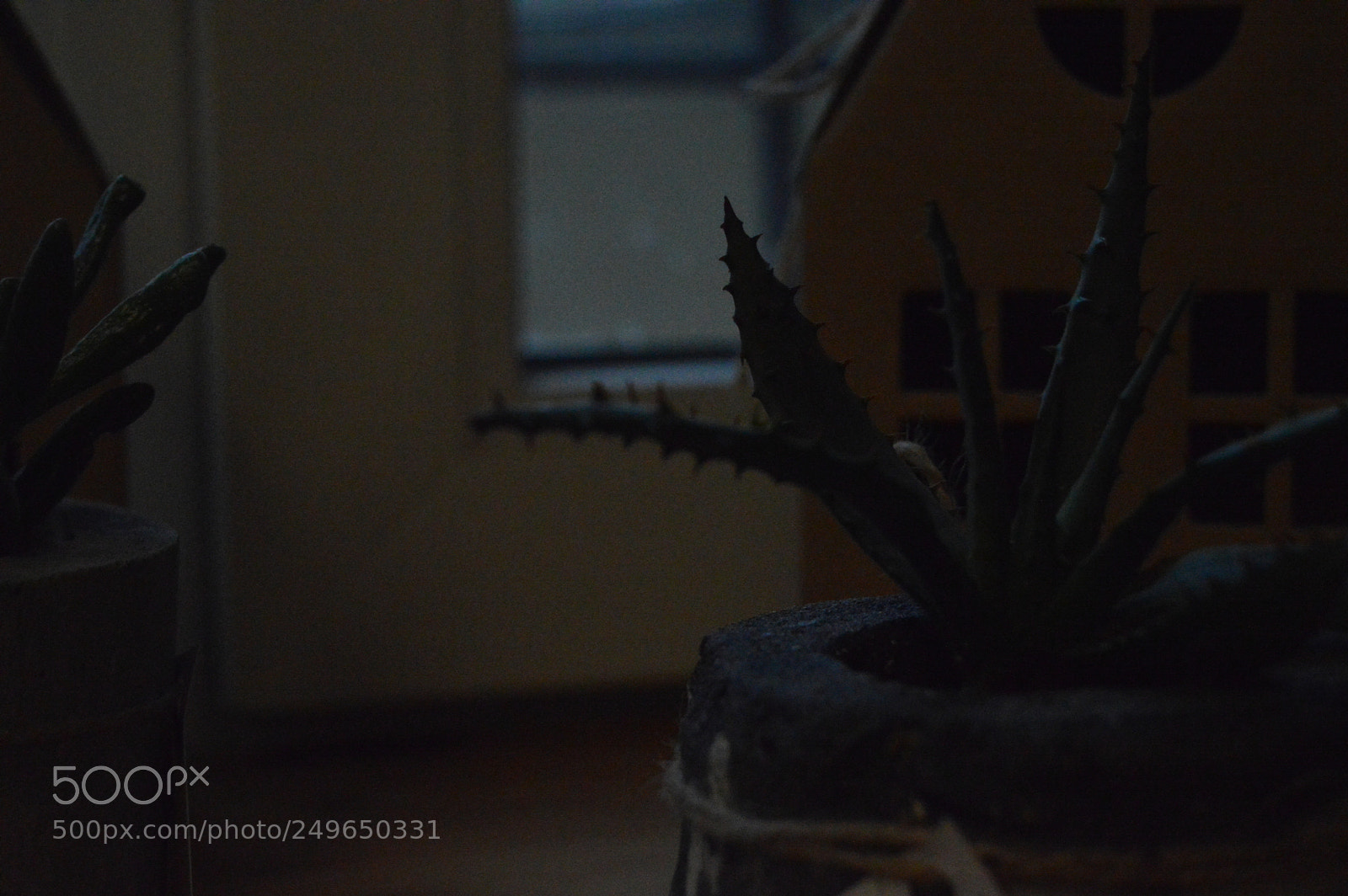 Nikon D3200 sample photo. Untitled photography