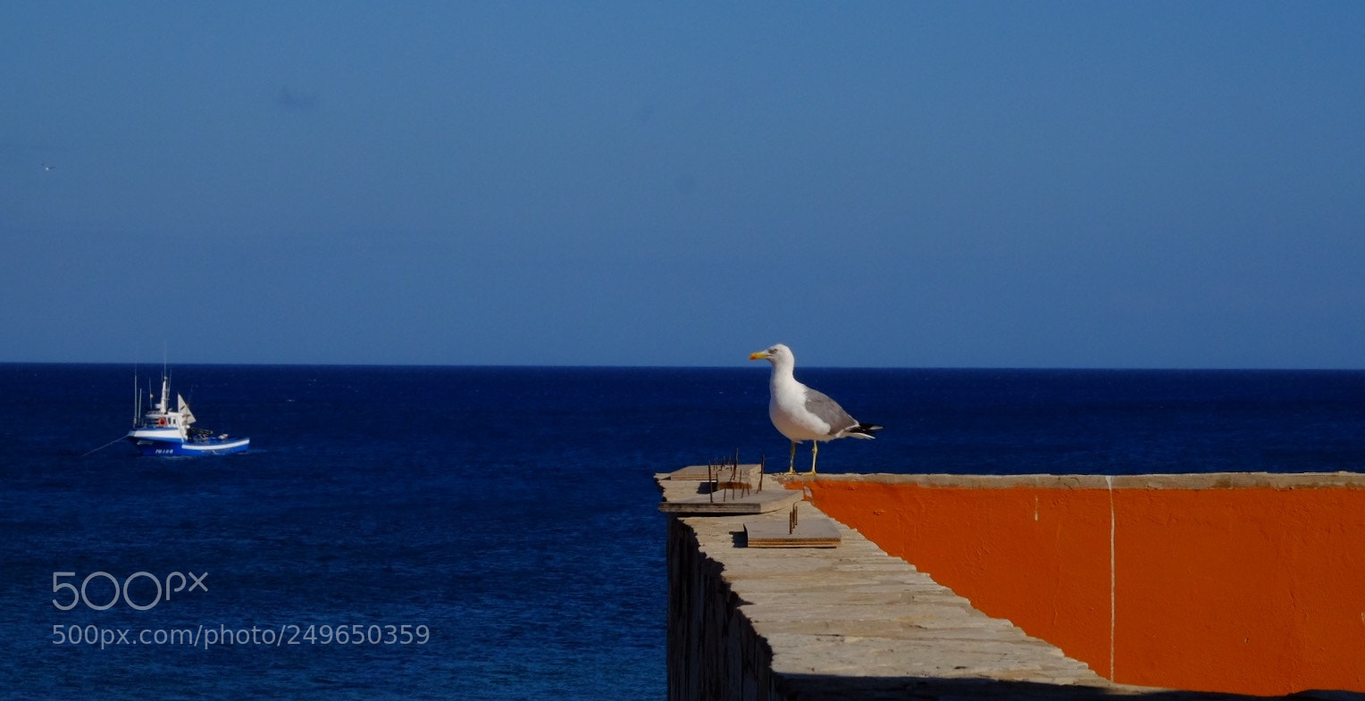 Fujifilm X-T1 sample photo. Fuerteventura photography