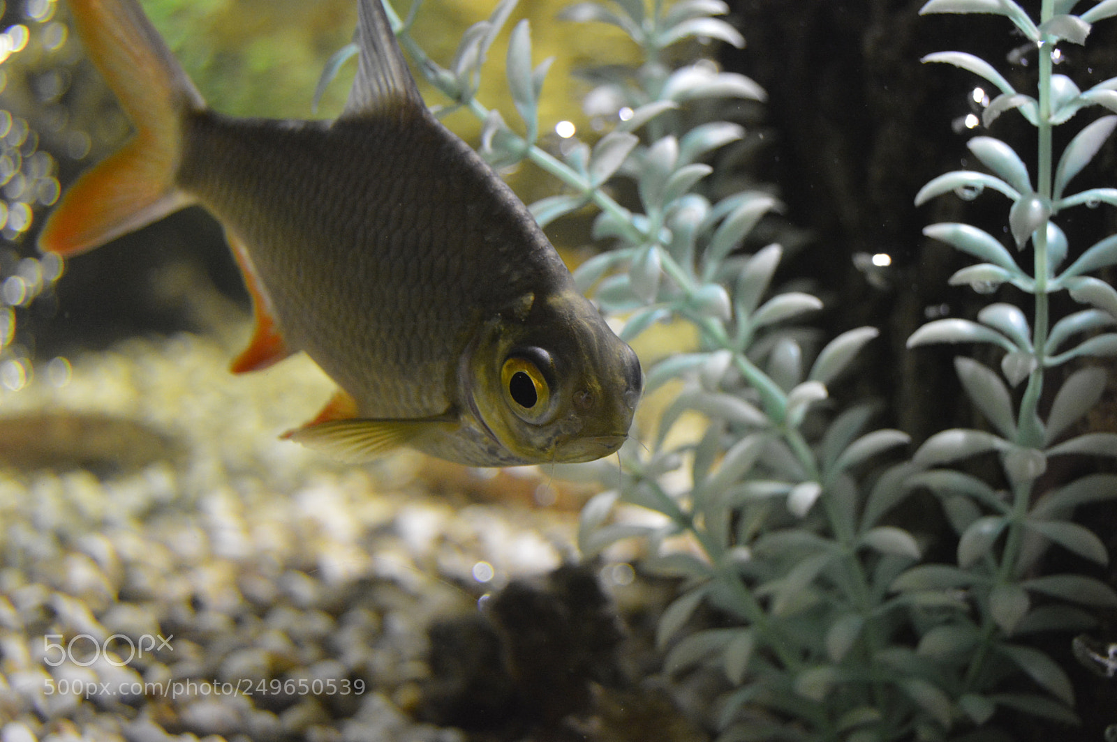 Nikon D3200 sample photo. Untitled photography