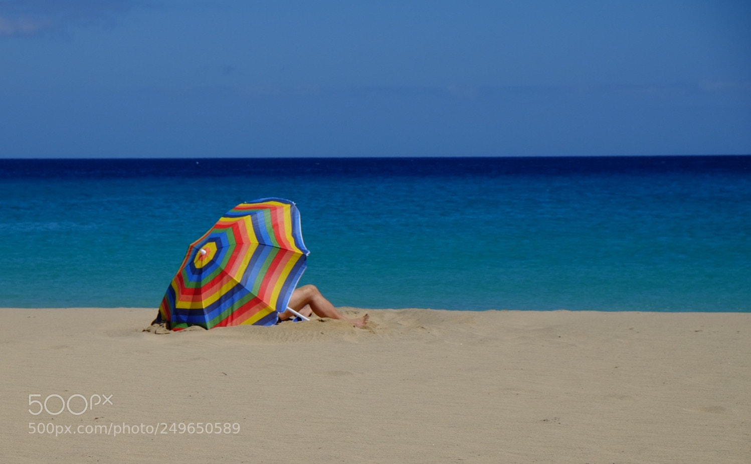 Fujifilm X-T1 sample photo. Relaxing in the sun ? photography