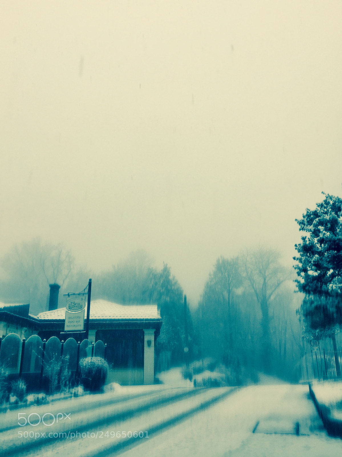 Apple iPhone 6 sample photo. Peaceful snow photography