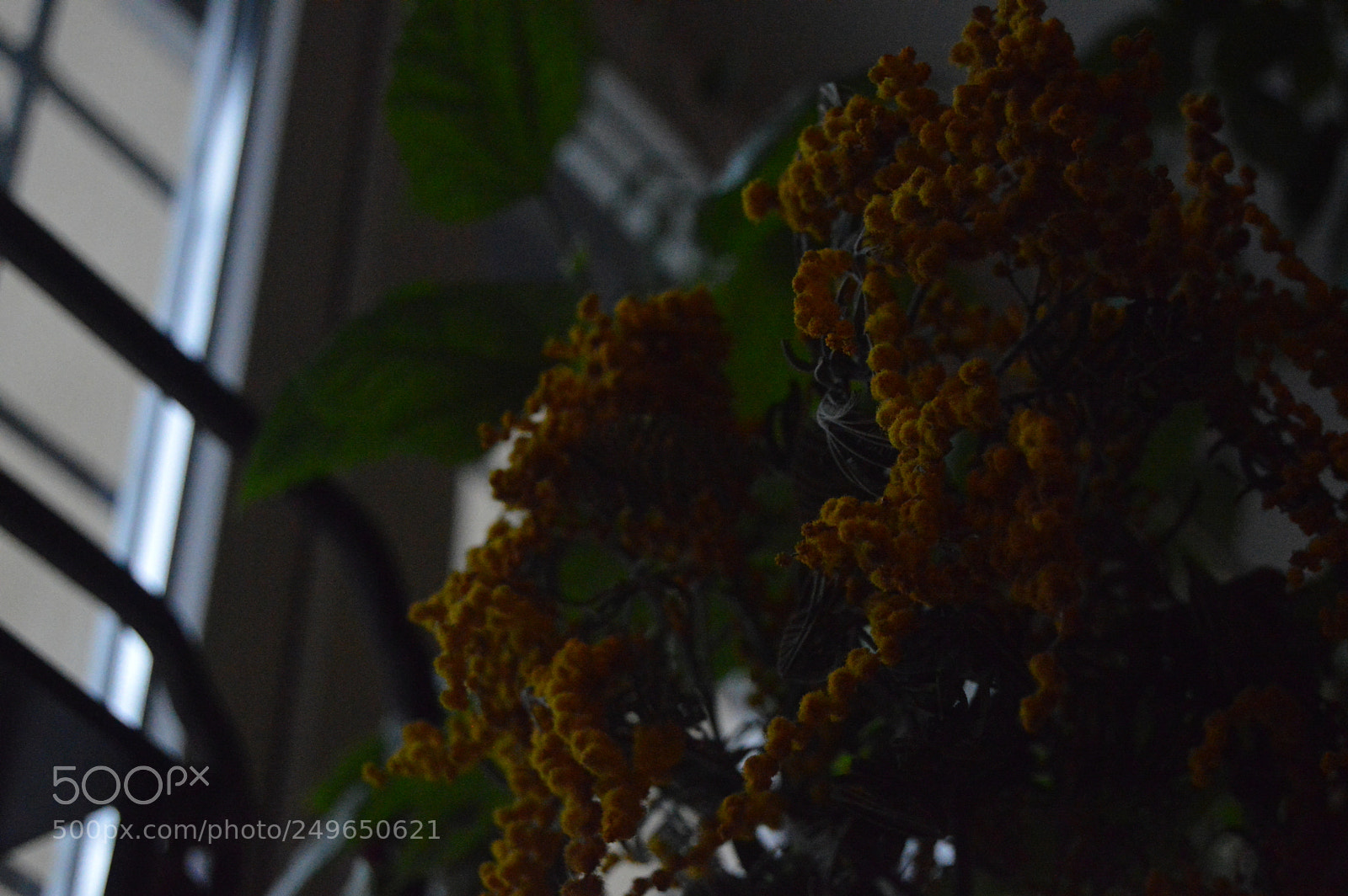 Nikon D3200 sample photo. Untitled photography