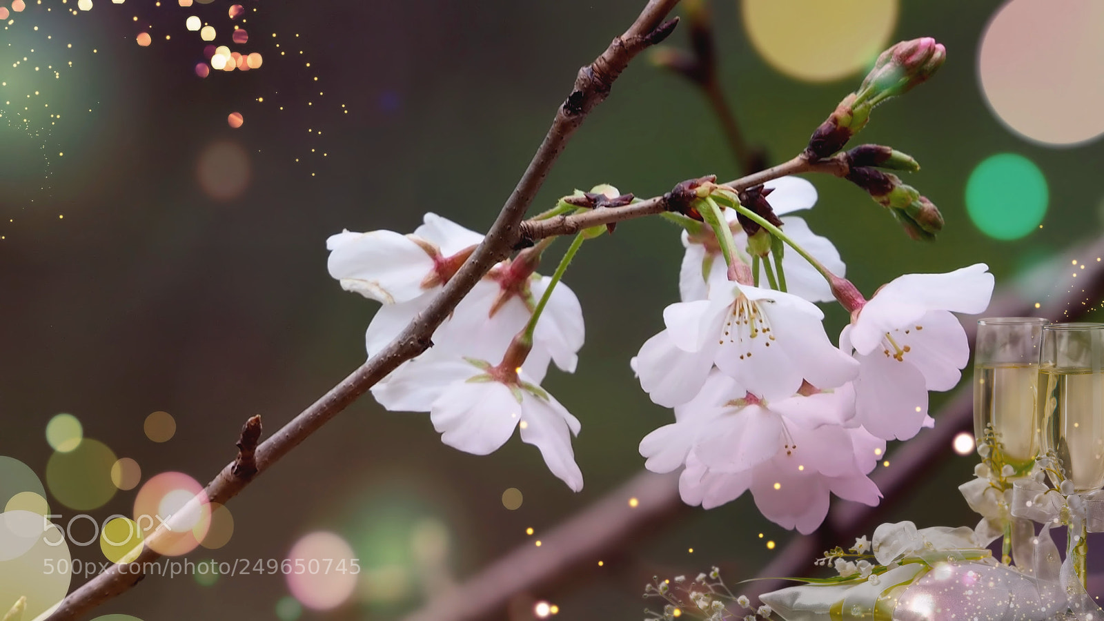 Olympus OM-D E-M10 sample photo. Spring magic photography