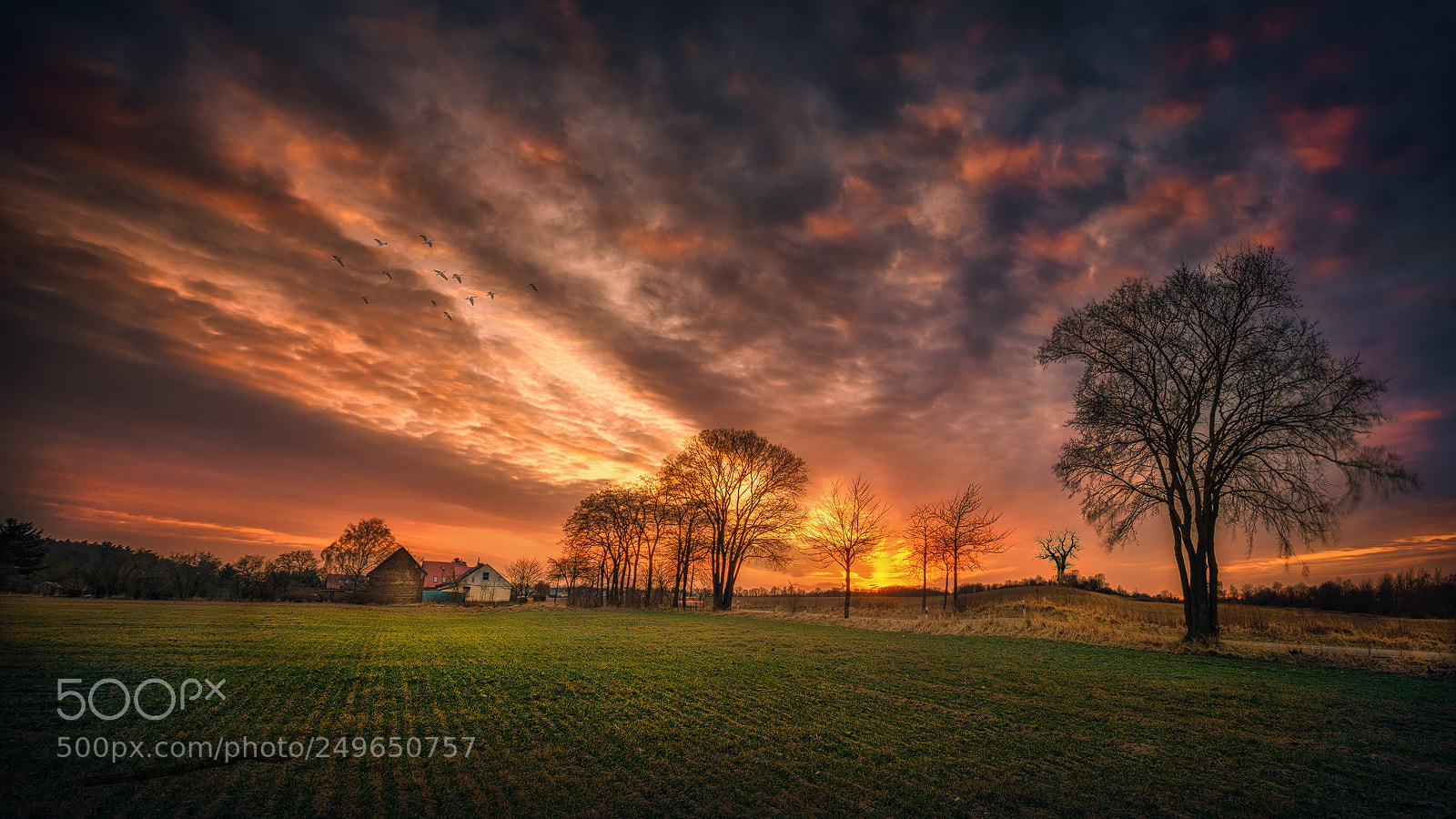 Nikon D810 sample photo. Sunset photography
