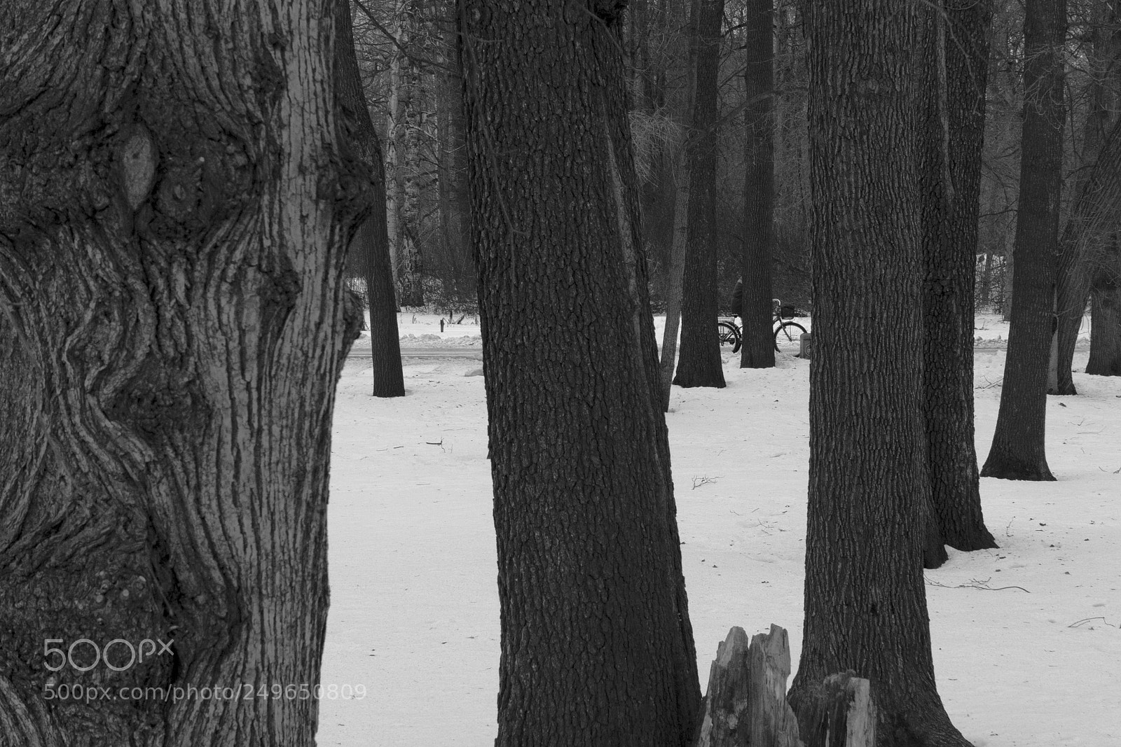 Canon EOS 60D sample photo. Who herе? photography