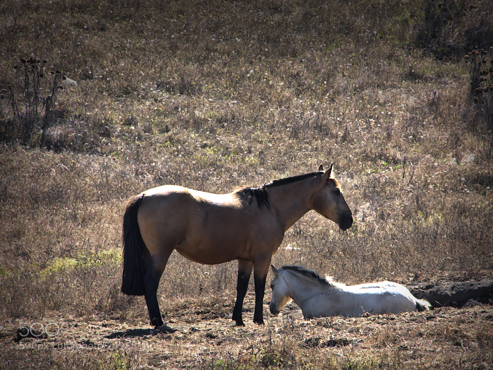 Nikon D7200 sample photo. Moving photography
