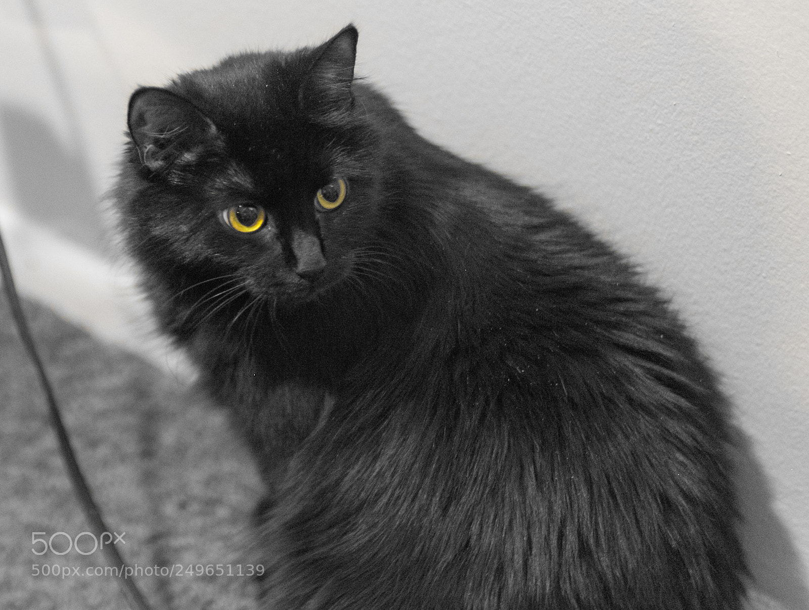 Fujifilm X-T1 sample photo. Fuji 56mm photography