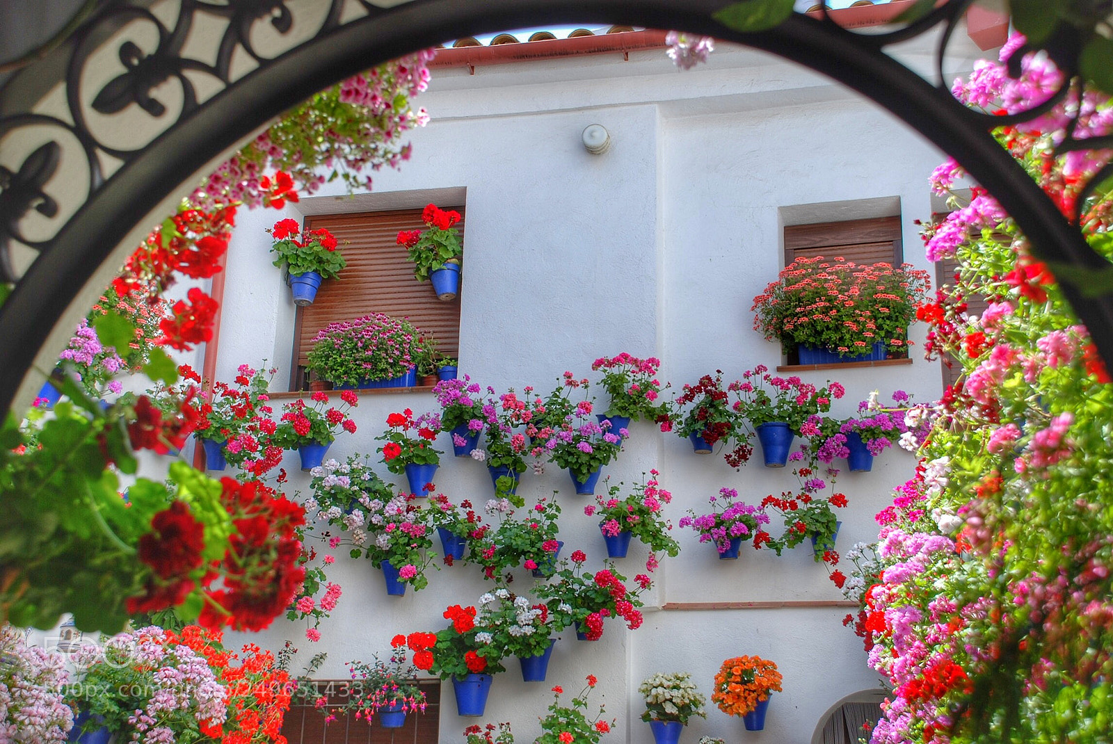 Nikon D80 sample photo. Patios de córdoba. photography