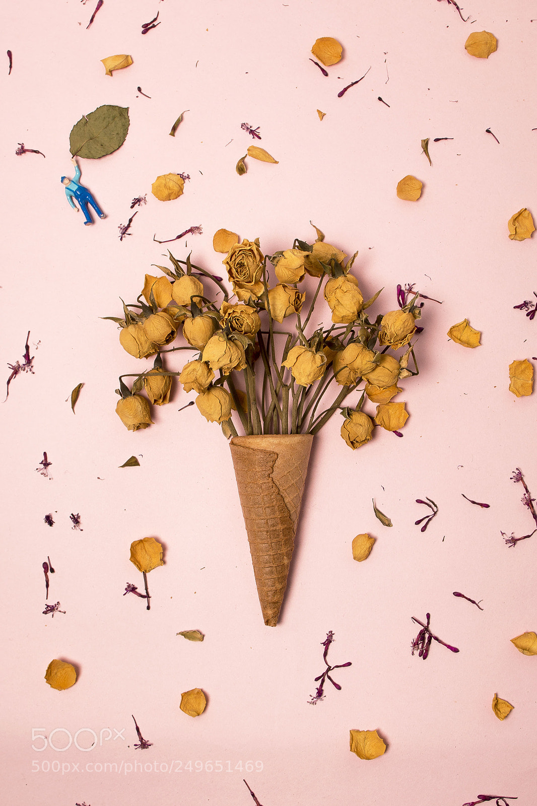 Canon EOS 70D sample photo. Ice cream photography