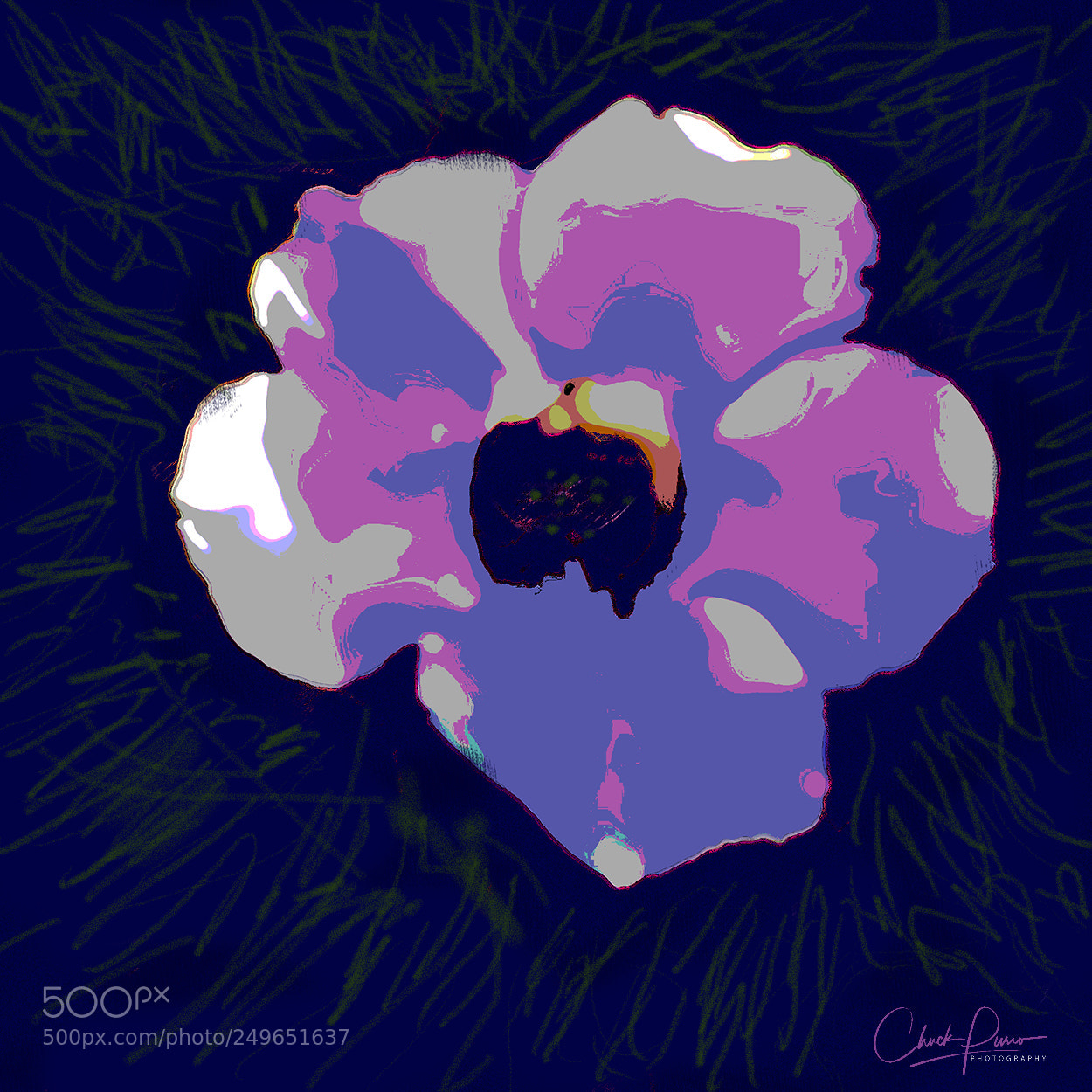 Canon EOS 6D Mark II sample photo. Warhol-esque flower photography