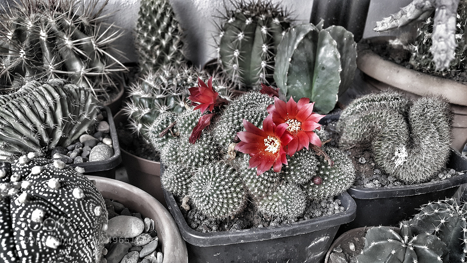 Samsung Galaxy Note4 sample photo. Untitled photography