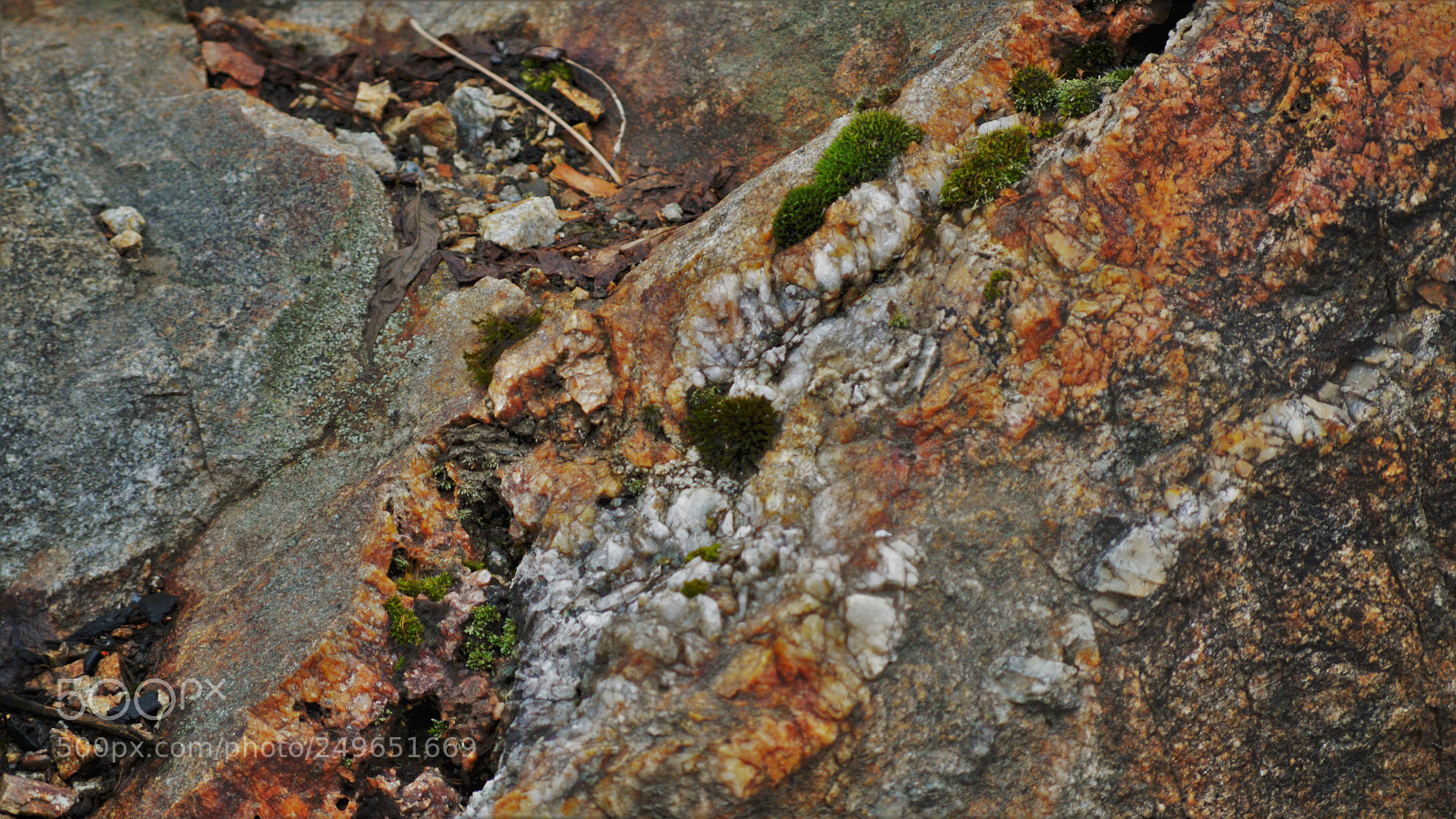 Nikon D3200 sample photo. Untitled photography