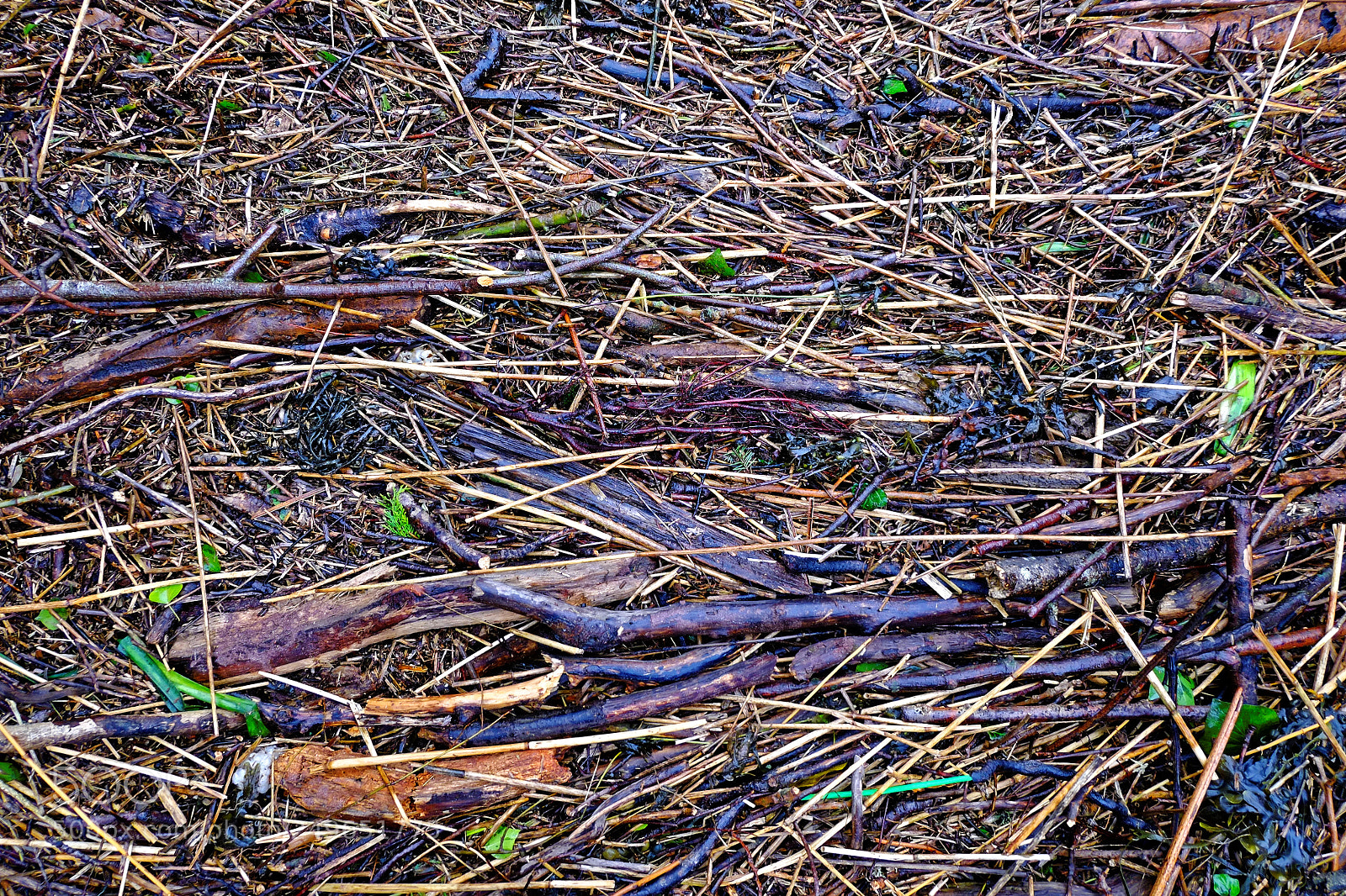Fujifilm X-E1 sample photo. Driftwood palette photography