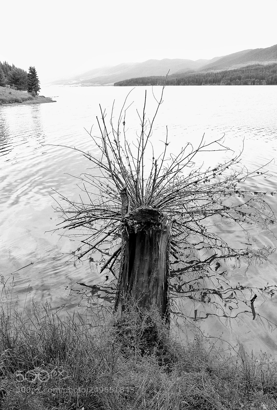 Canon EOS 40D sample photo. Untitled photography