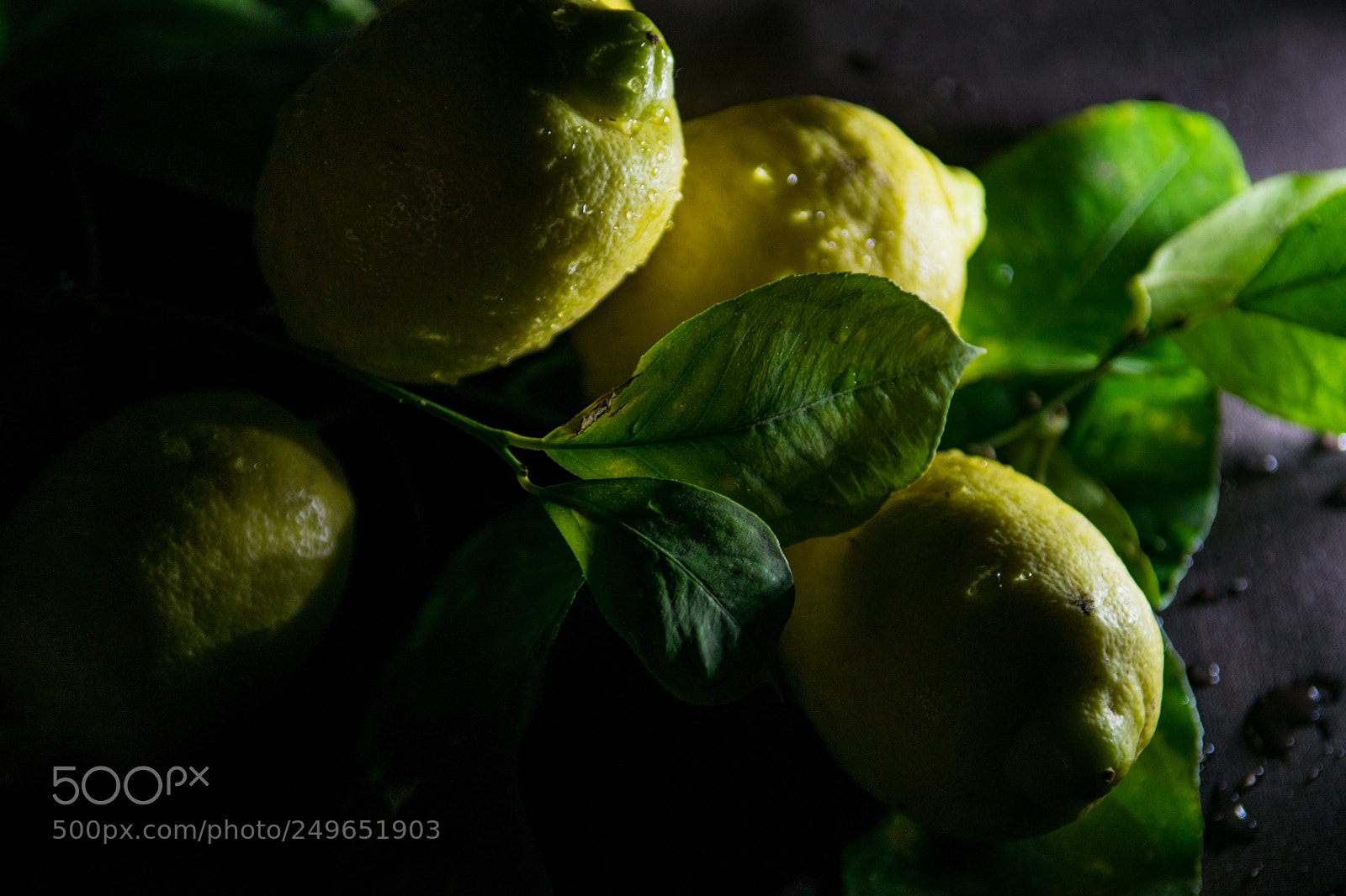Nikon D3300 sample photo. Lemon photography