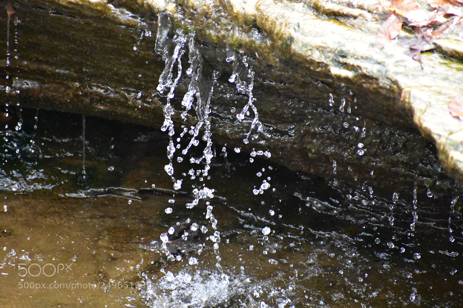 Nikon D3400 sample photo. Drip drip photography