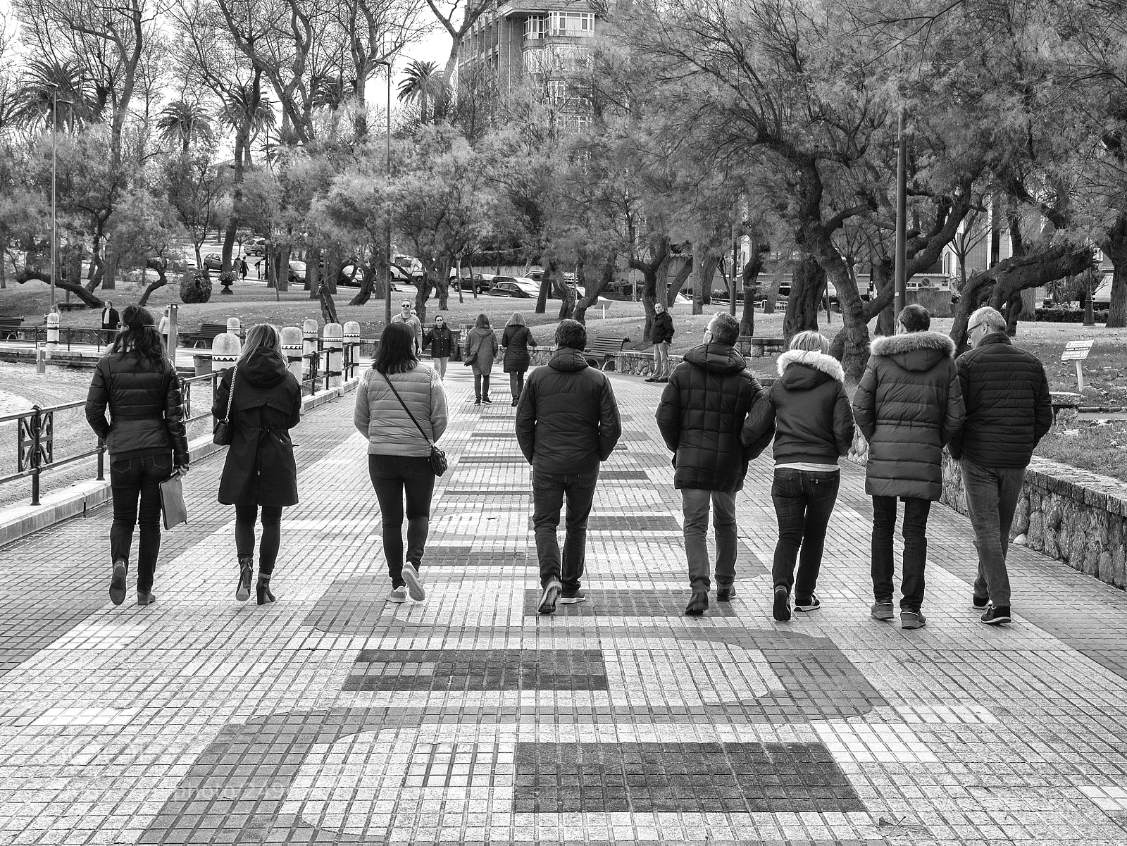 Olympus OM-D E-M1 sample photo. Paseo mar timo, el photography
