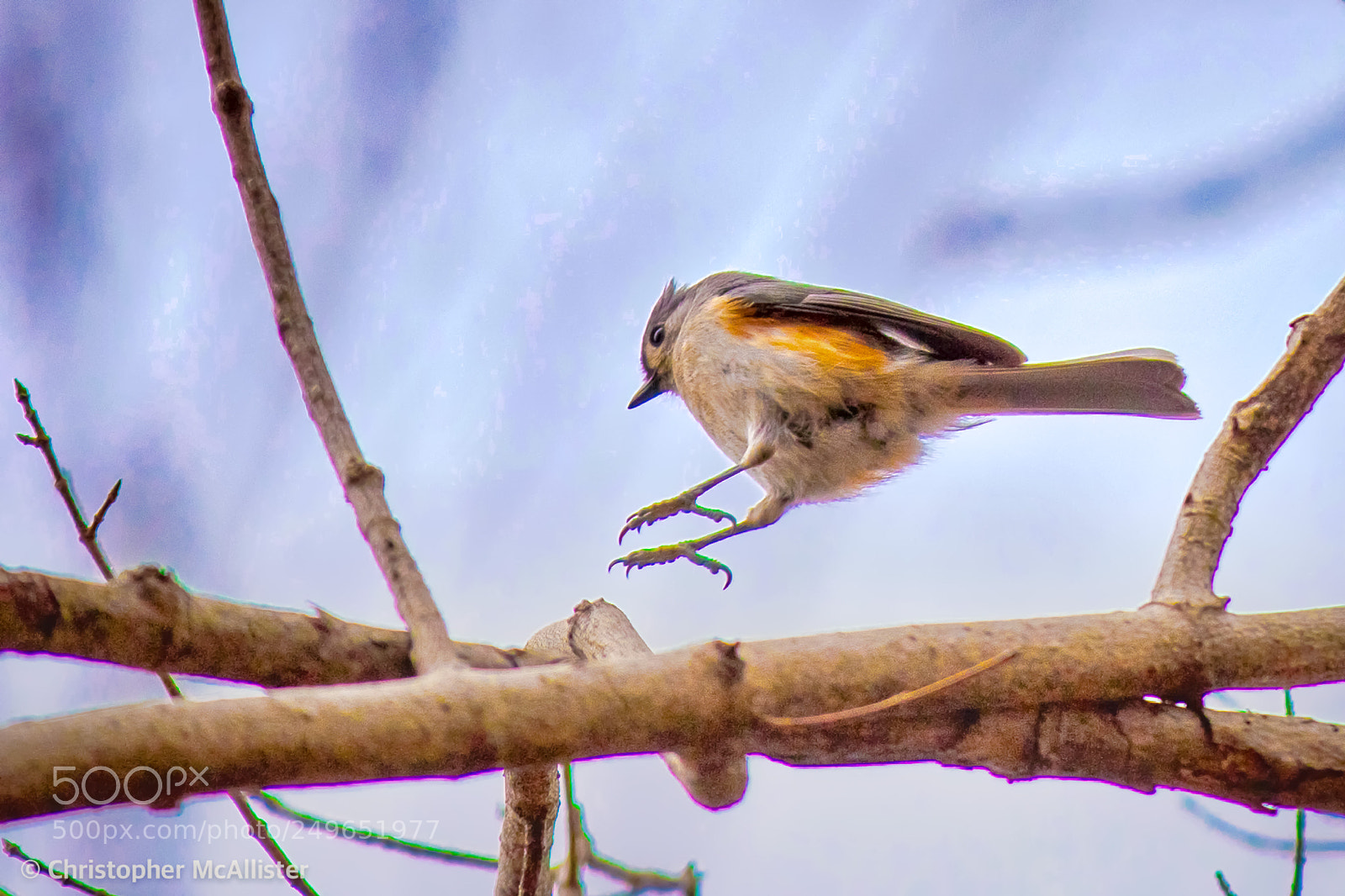 Canon EOS 5DS R sample photo. Landing zone photography