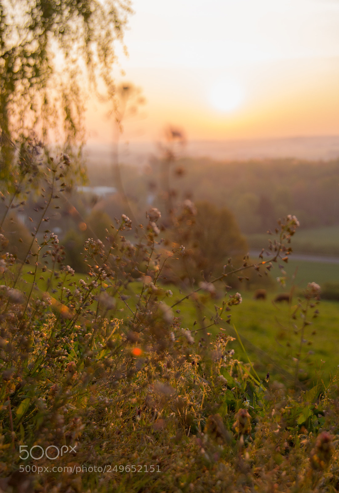 Canon EOS 700D (EOS Rebel T5i / EOS Kiss X7i) sample photo. Sunrise.jpg photography