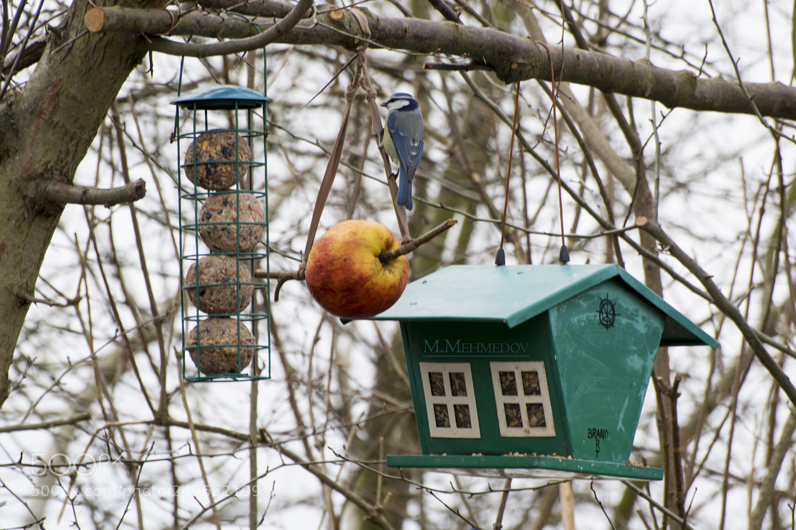 Nikon D5300 sample photo. There are also good photography