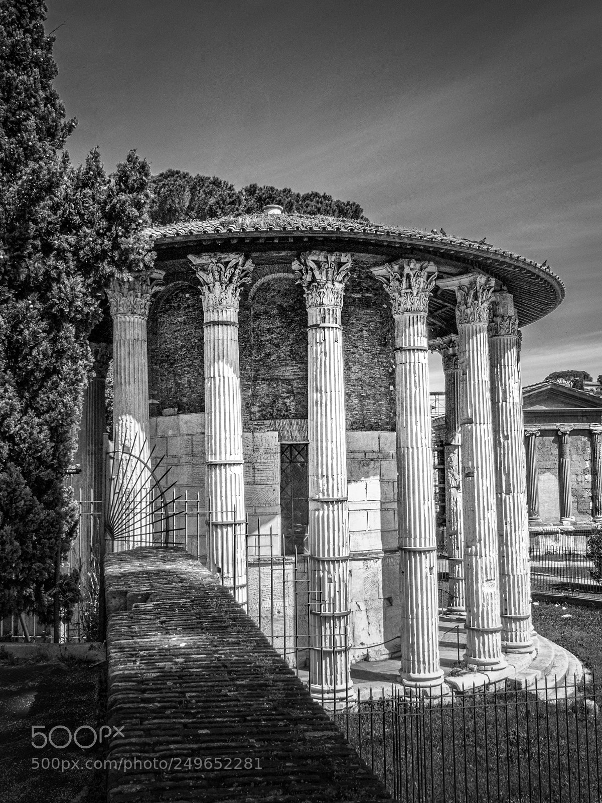 Canon PowerShot G11 sample photo. Digitigrade rome photography