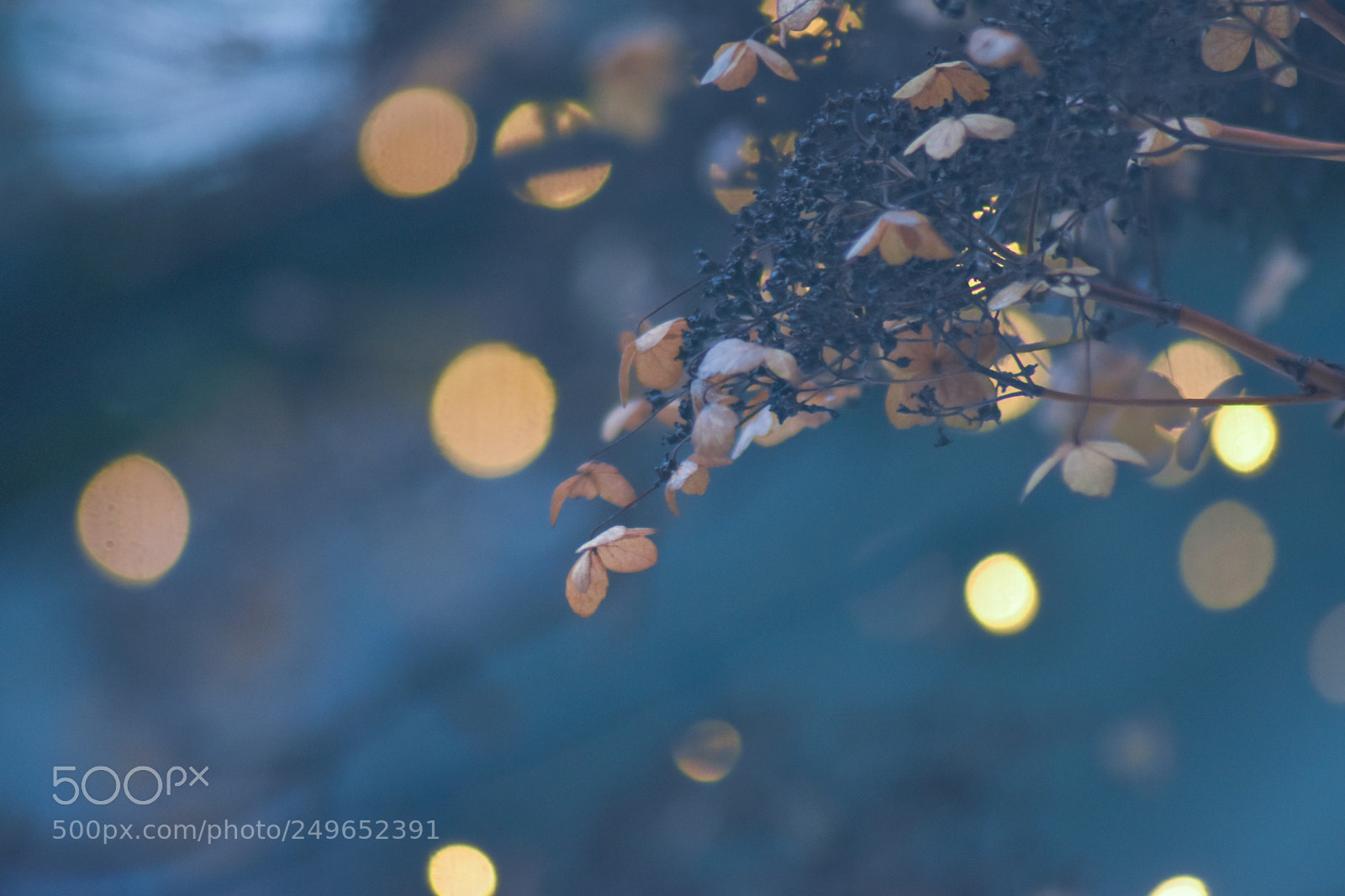 Nikon D5500 sample photo. Untitled photography