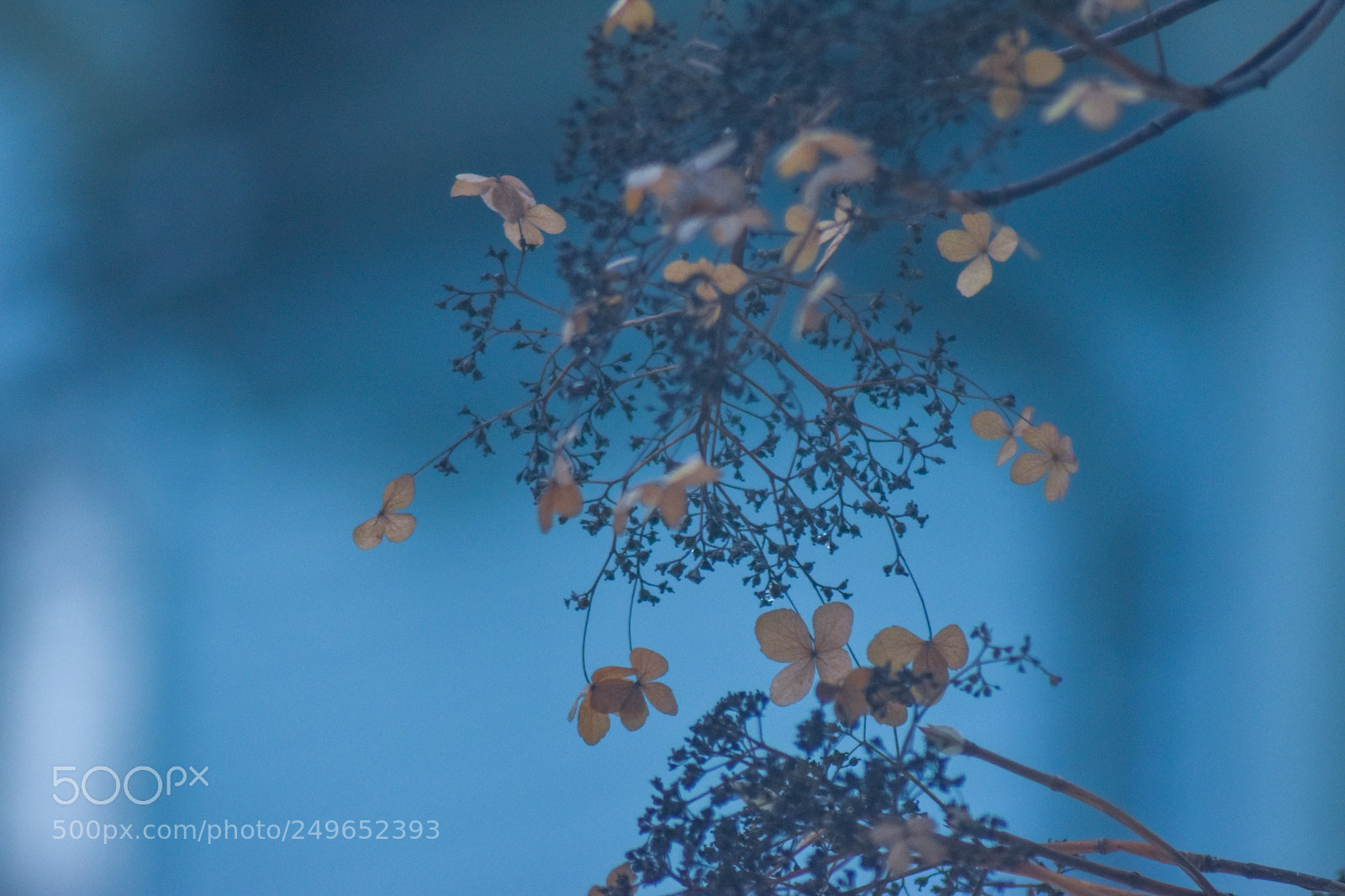 Nikon D5500 sample photo. Untitled photography