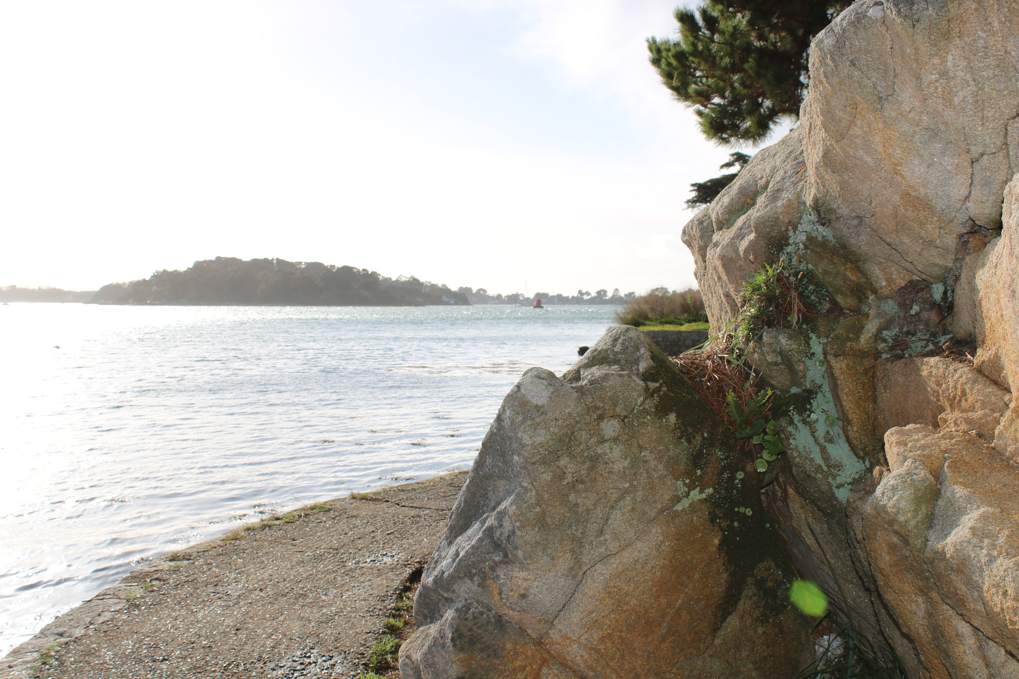 Canon EF-S 18-55mm F3.5-5.6 IS sample photo