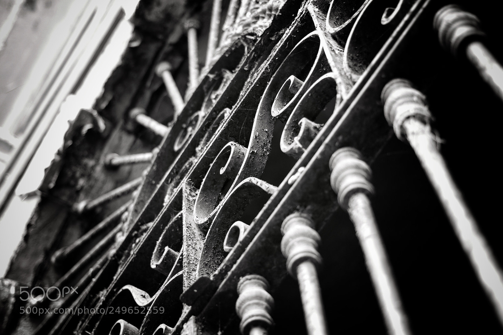 Canon EOS 750D (EOS Rebel T6i / EOS Kiss X8i) sample photo. History in b&w photography