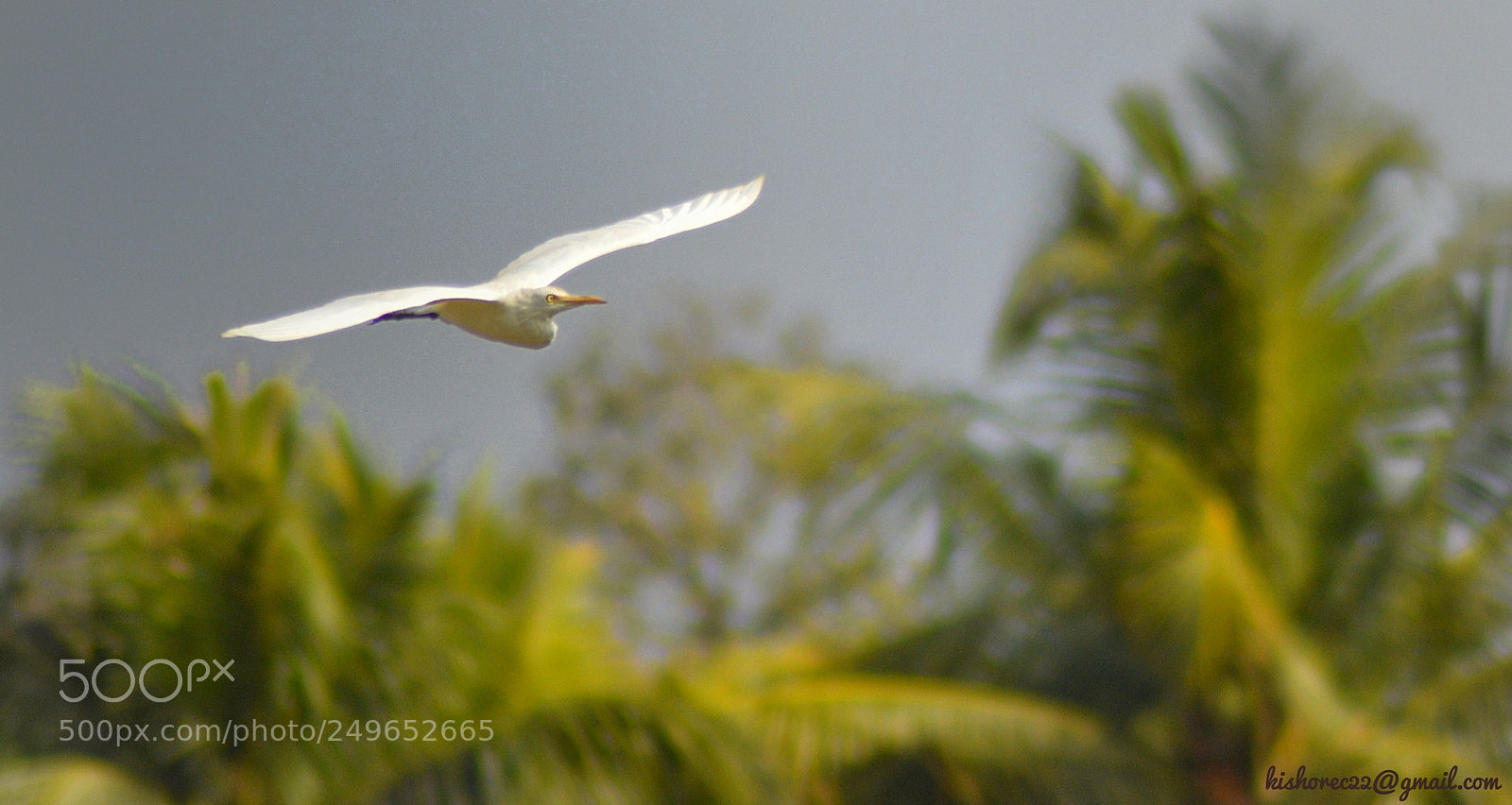 Nikon D3200 sample photo. Untitled photography
