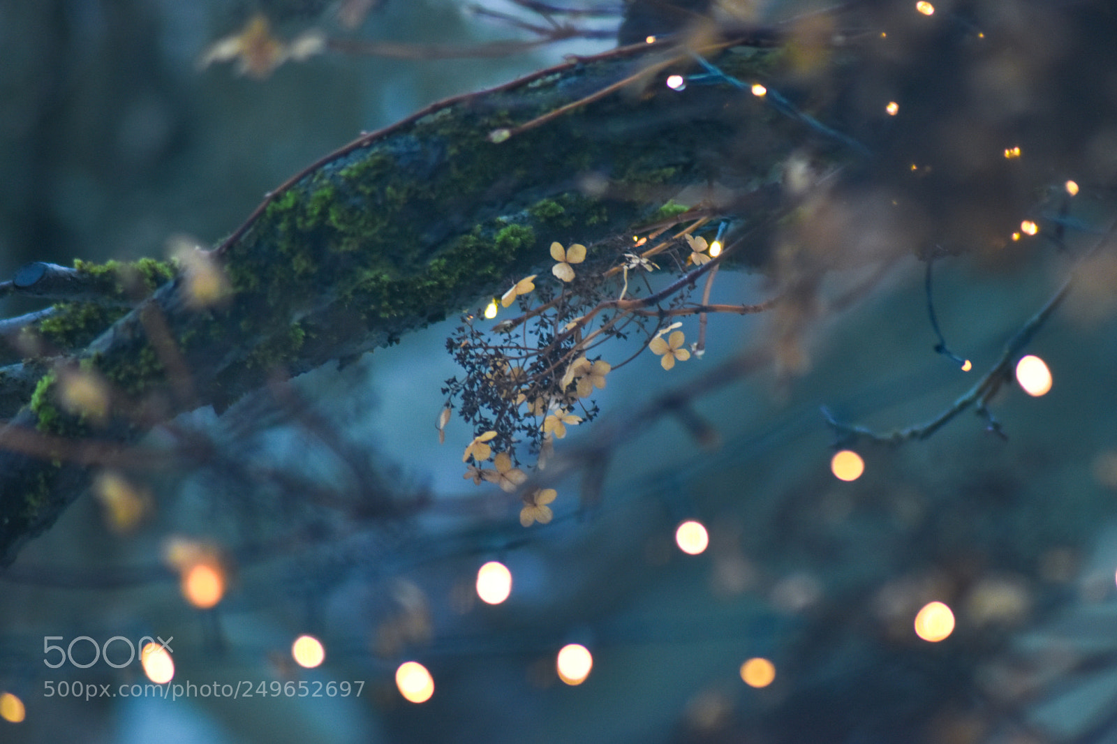 Nikon D5500 sample photo. Untitled photography