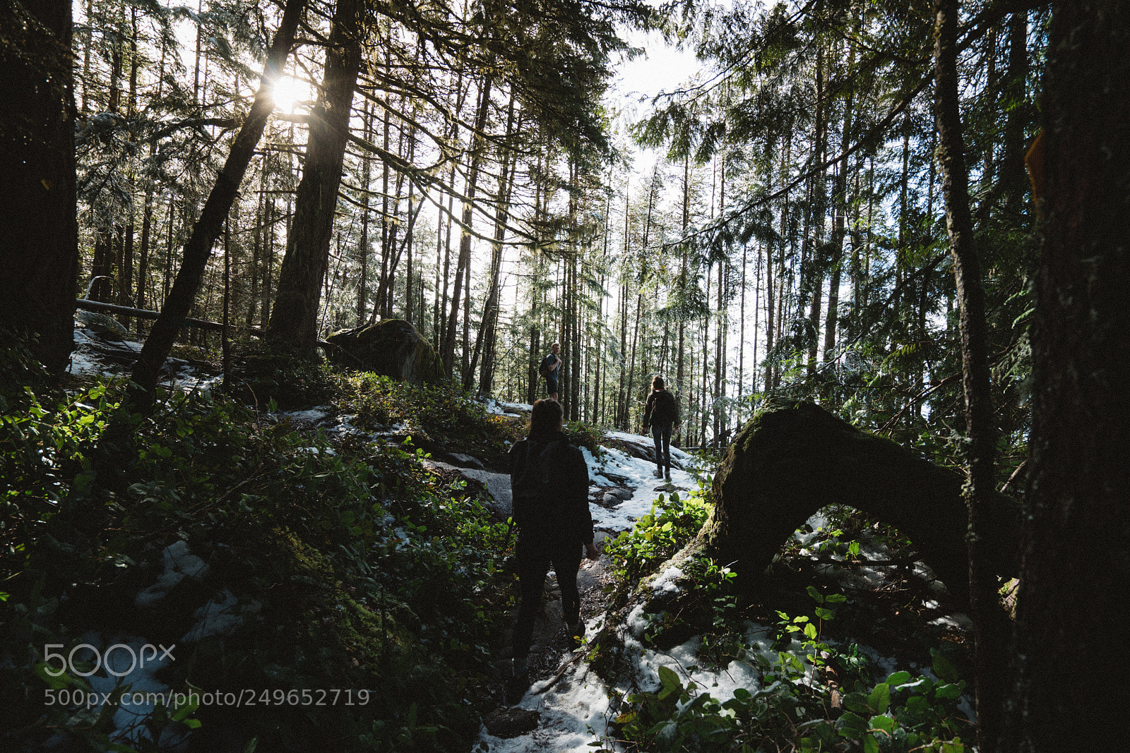 Sony a7R II sample photo. Dsc photography