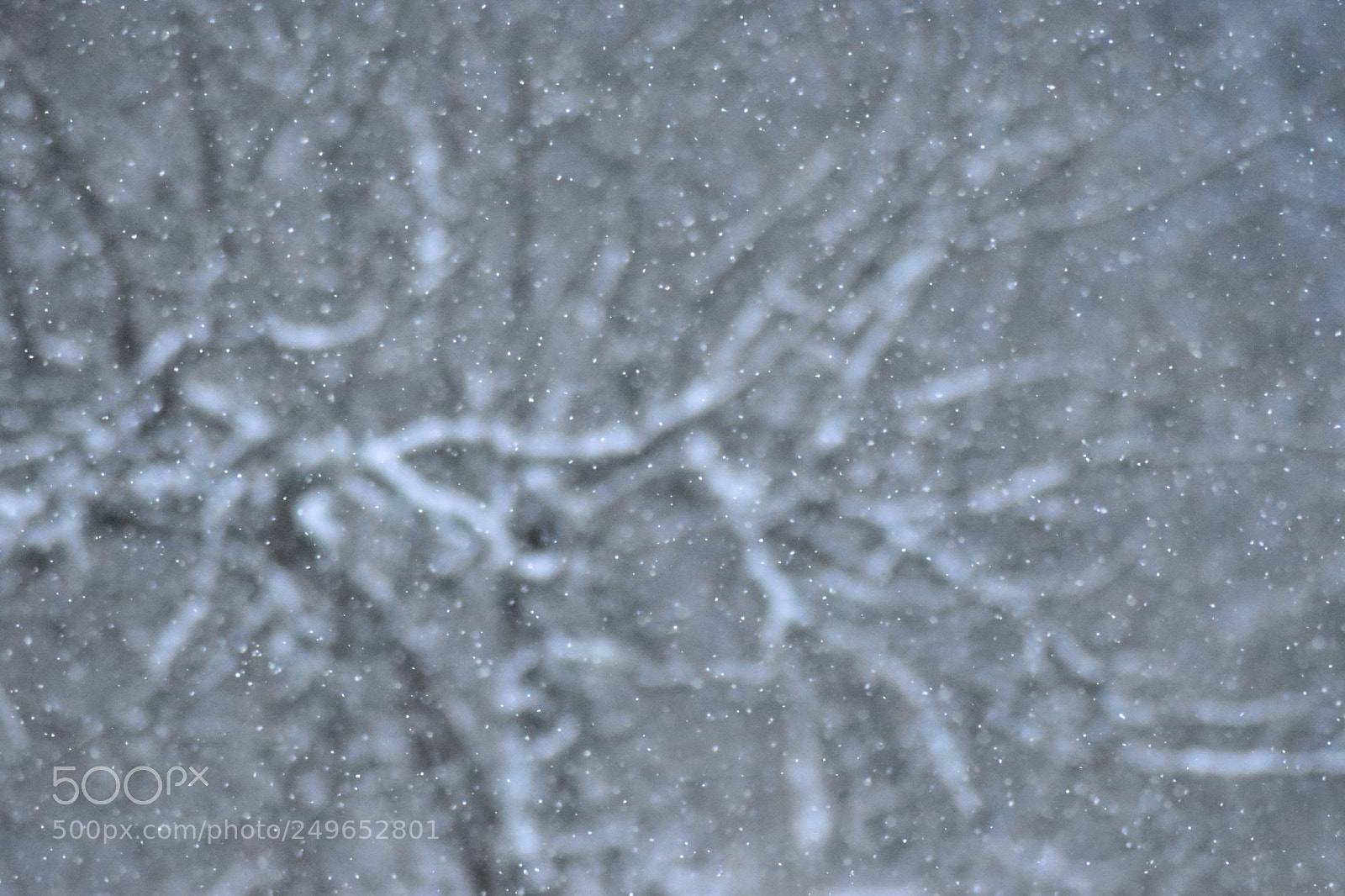 Nikon D5500 sample photo. When time stands still photography