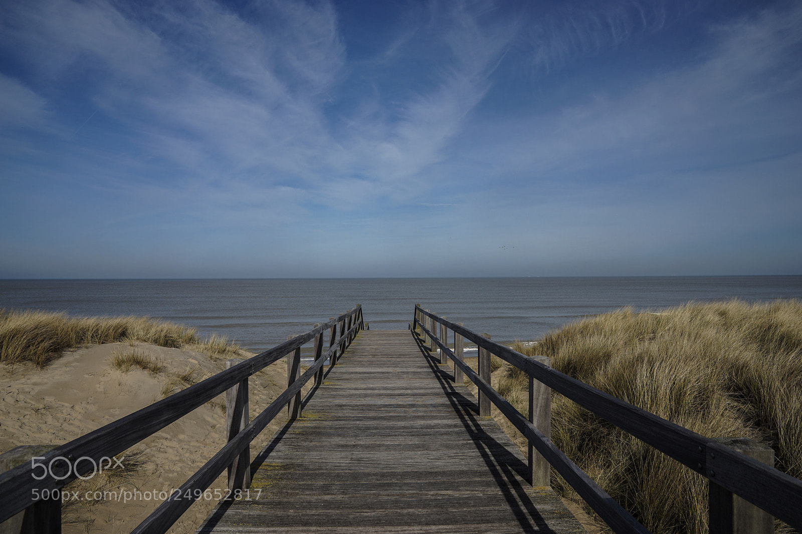 Sony a7 II sample photo. Wonderful day at the photography