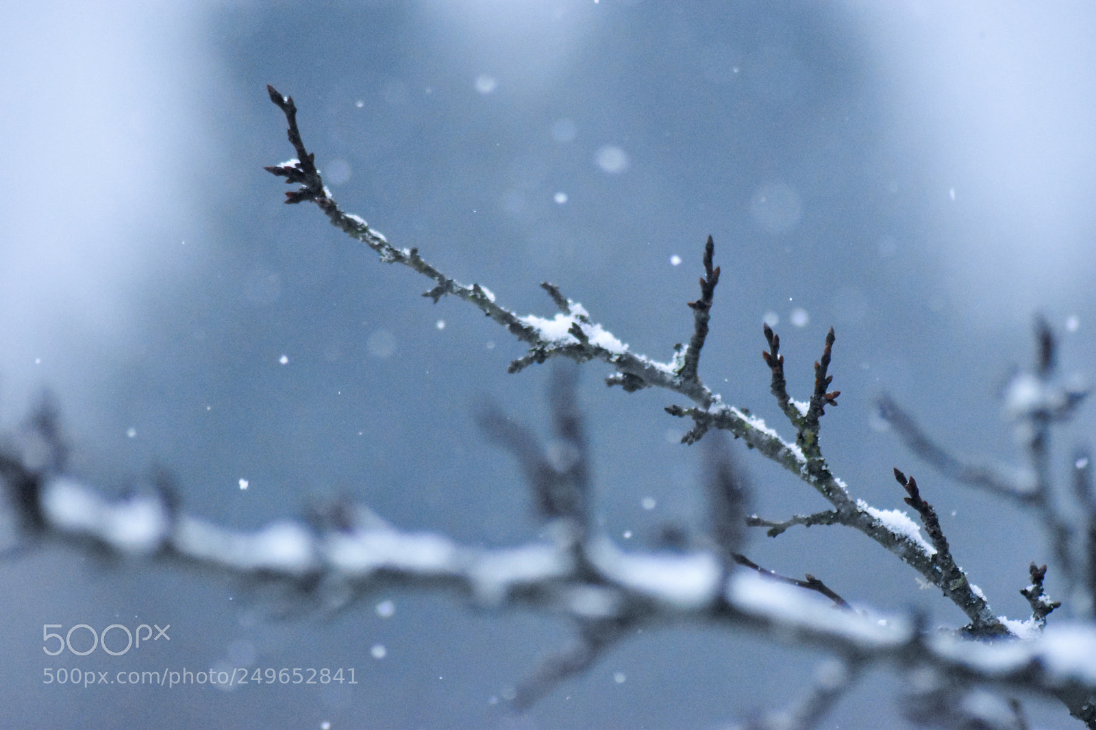 Nikon D5500 sample photo. Untitled photography
