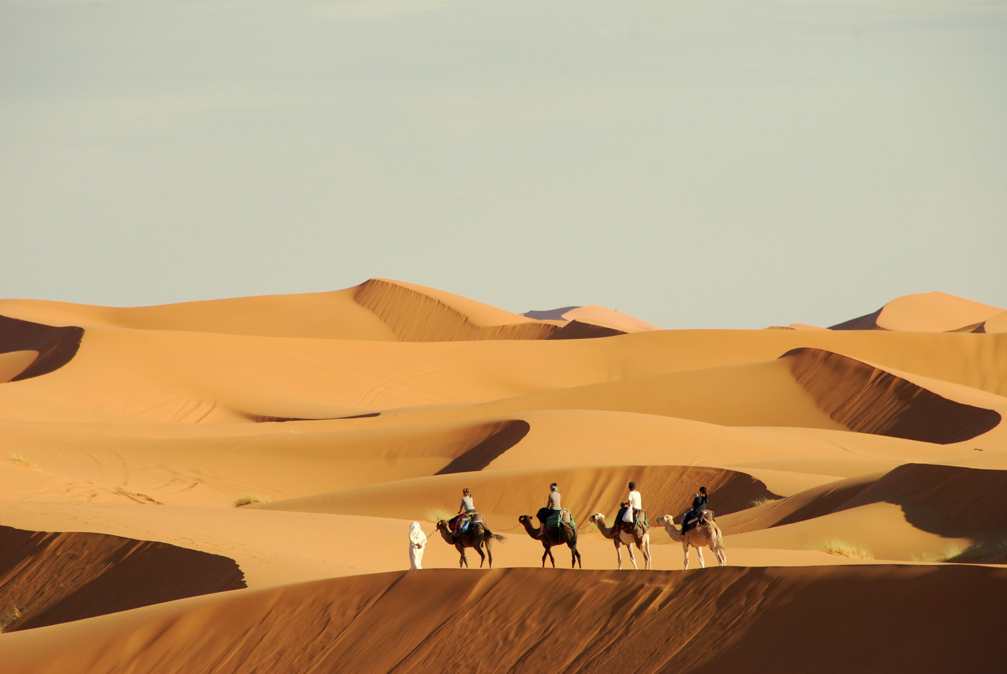 Nikon D80 sample photo. Golden sands photography